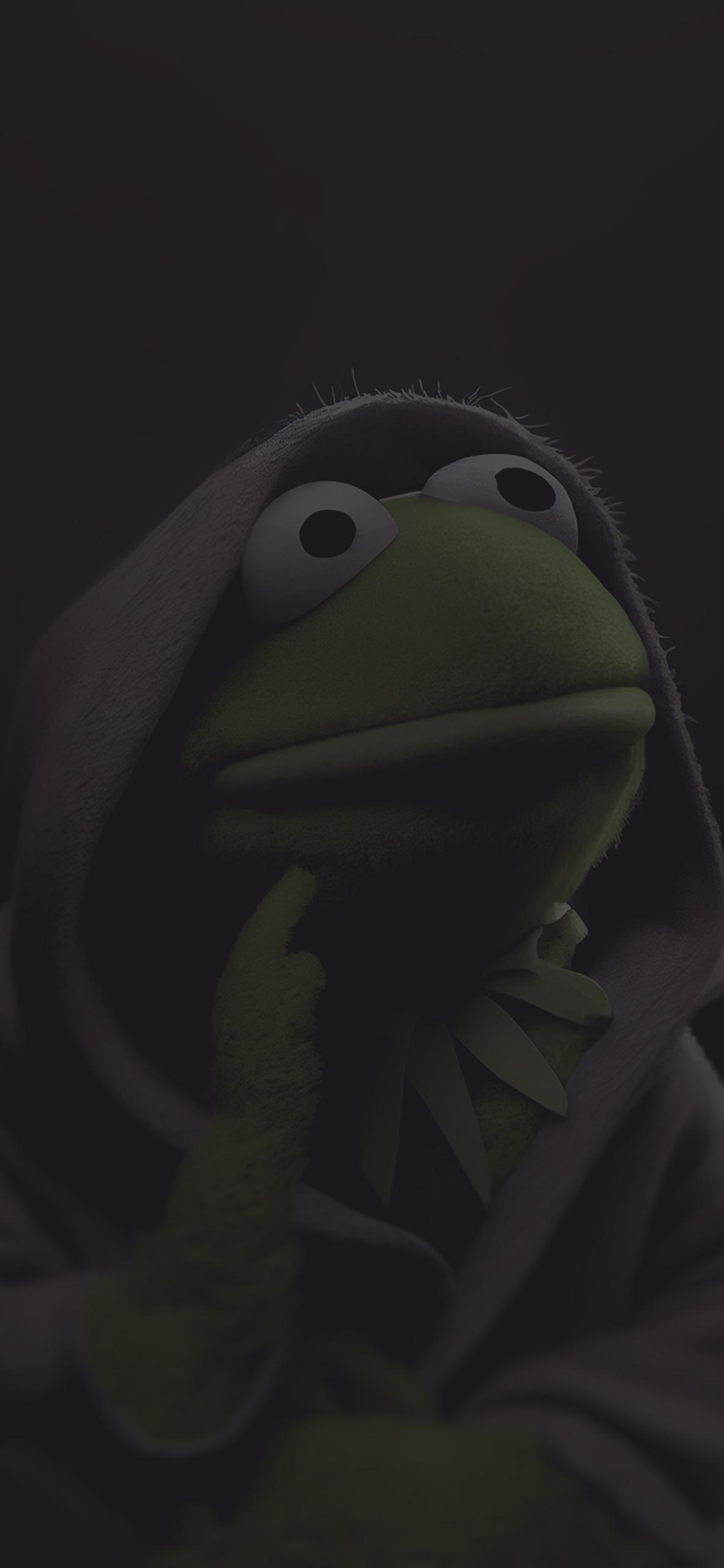 1183x2560 Kermit the Frog Jedi Meme Wallpaper Aesthetic Wallpaper