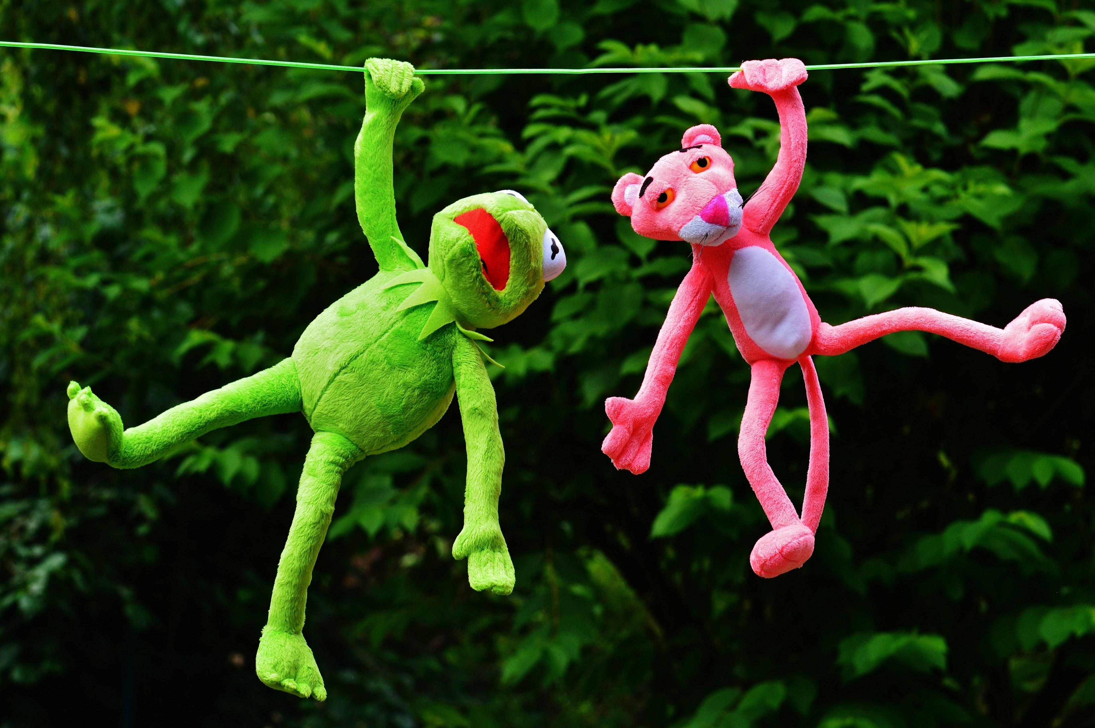 3840x2553 Wallpaper / hang out plush toys kermit the pink panther toys 4k wallpaper free download