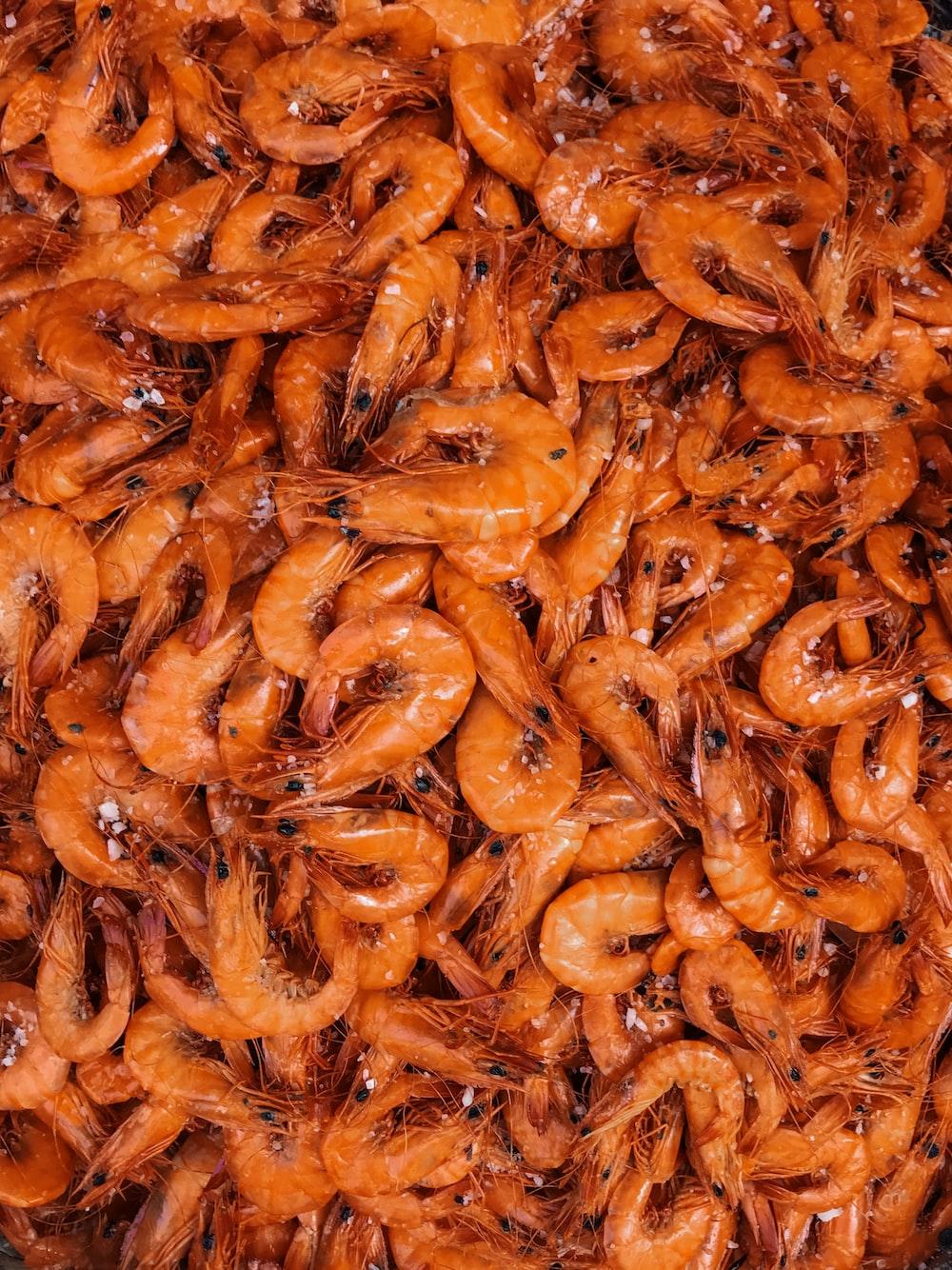 1000x1334 Shrimp Picture. Download Free