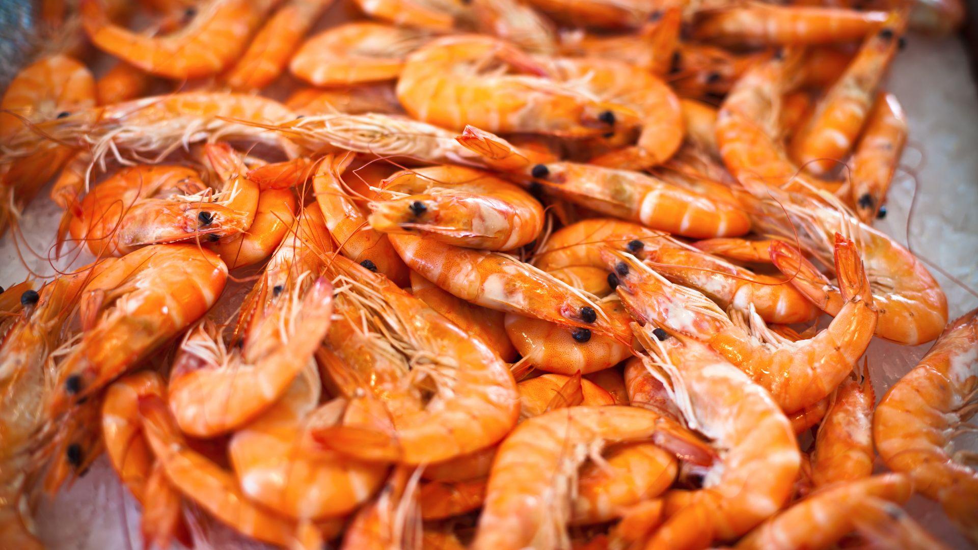 1920x1080 Wallpaper shrimp, Food