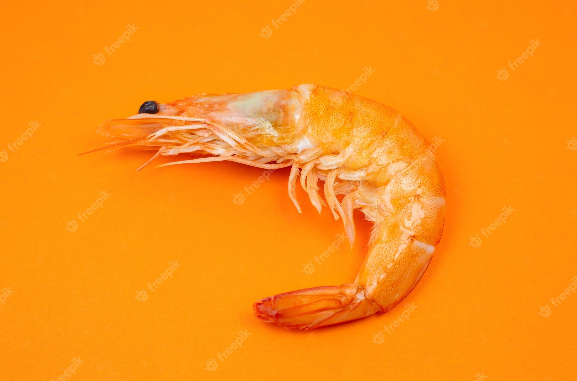 2000x1322 Tasty fresh shrimp or prawn on