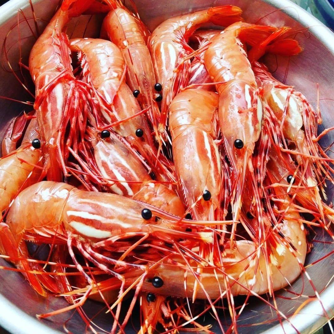 1080x1080 Serving Up BC Spot Prawns: A Guide to