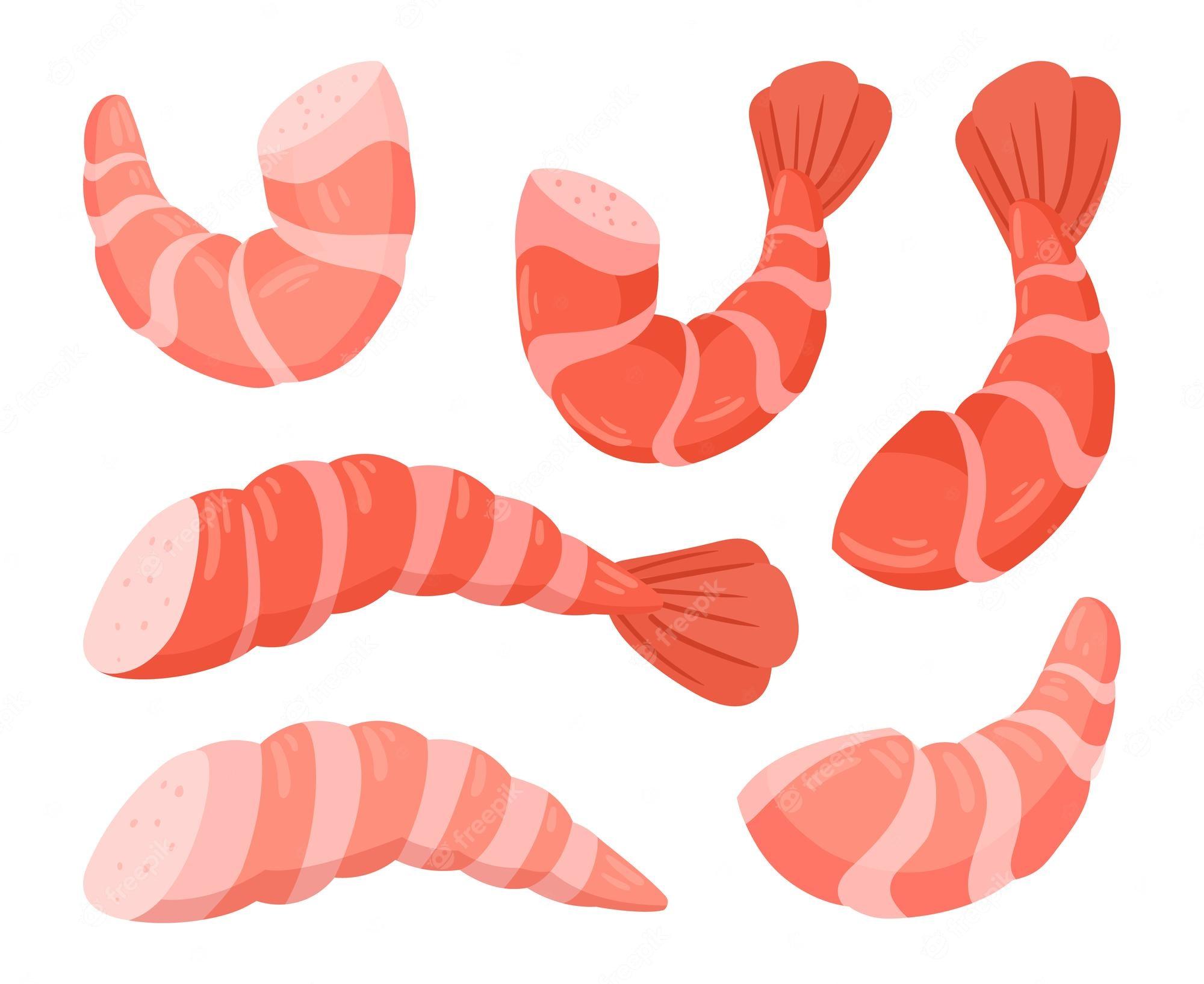 2000x1636 Cartoon shrimps seafood boiled tiger or