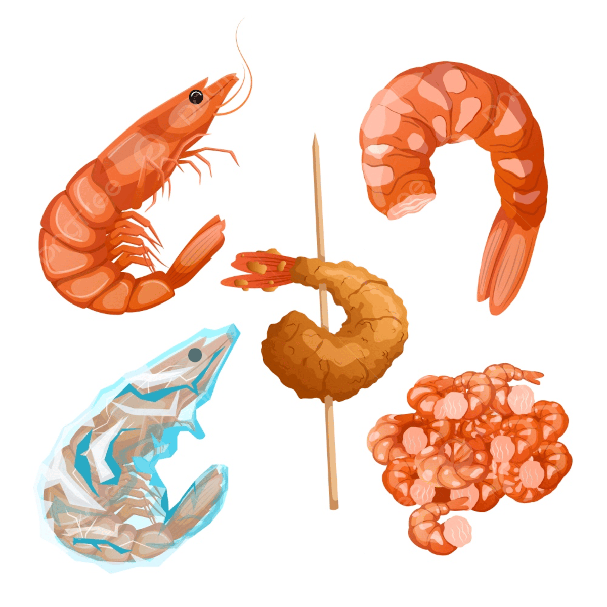 1200x1200 Shrimp Fish Seafood Vector Art PNG