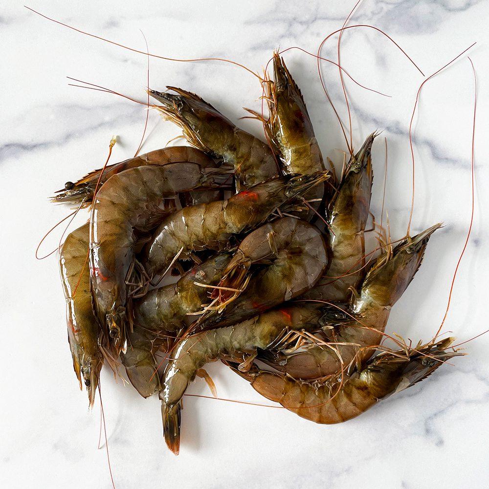 1000x1000 Head On Prawns Online Day