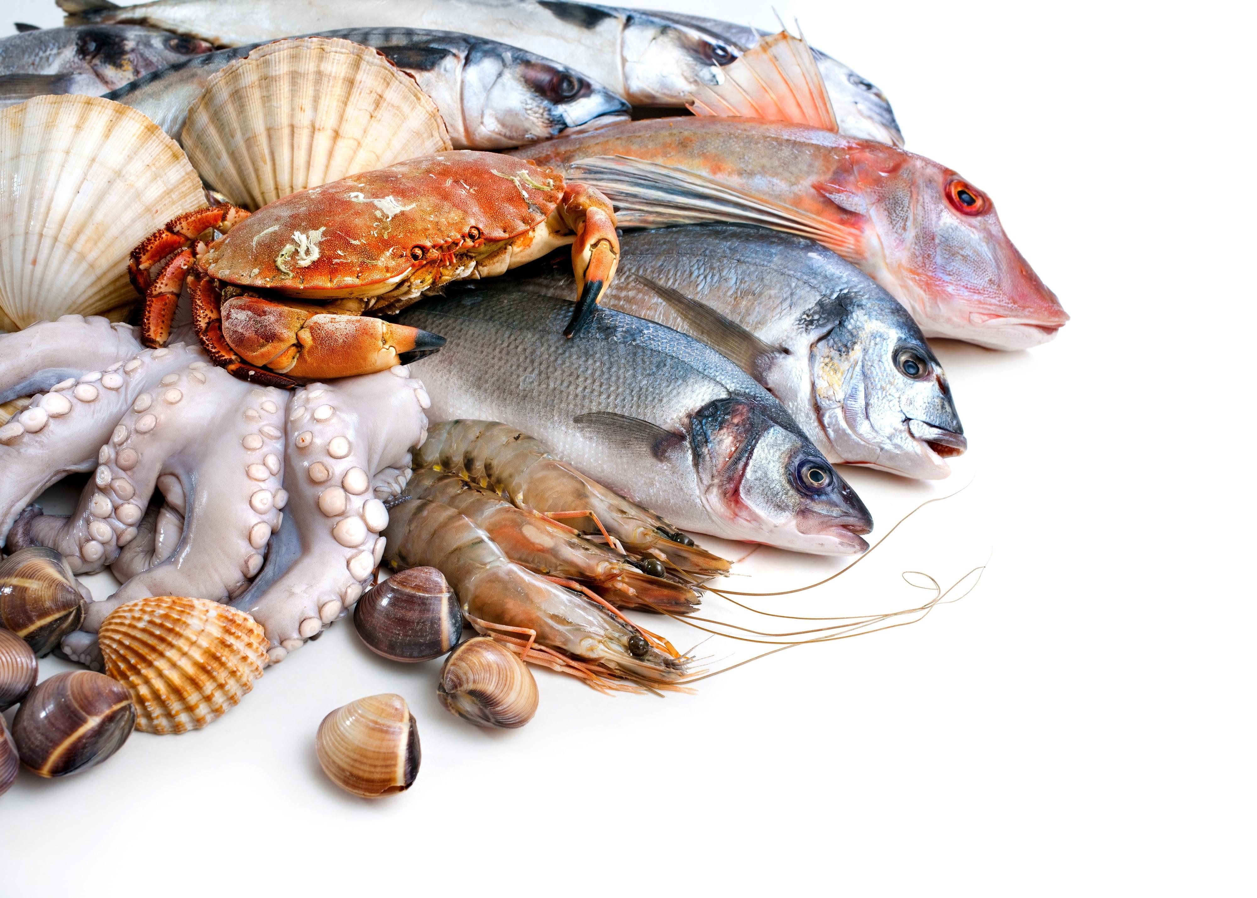 4000x2857 squid, 4K, fish, seafood, crabs, shell