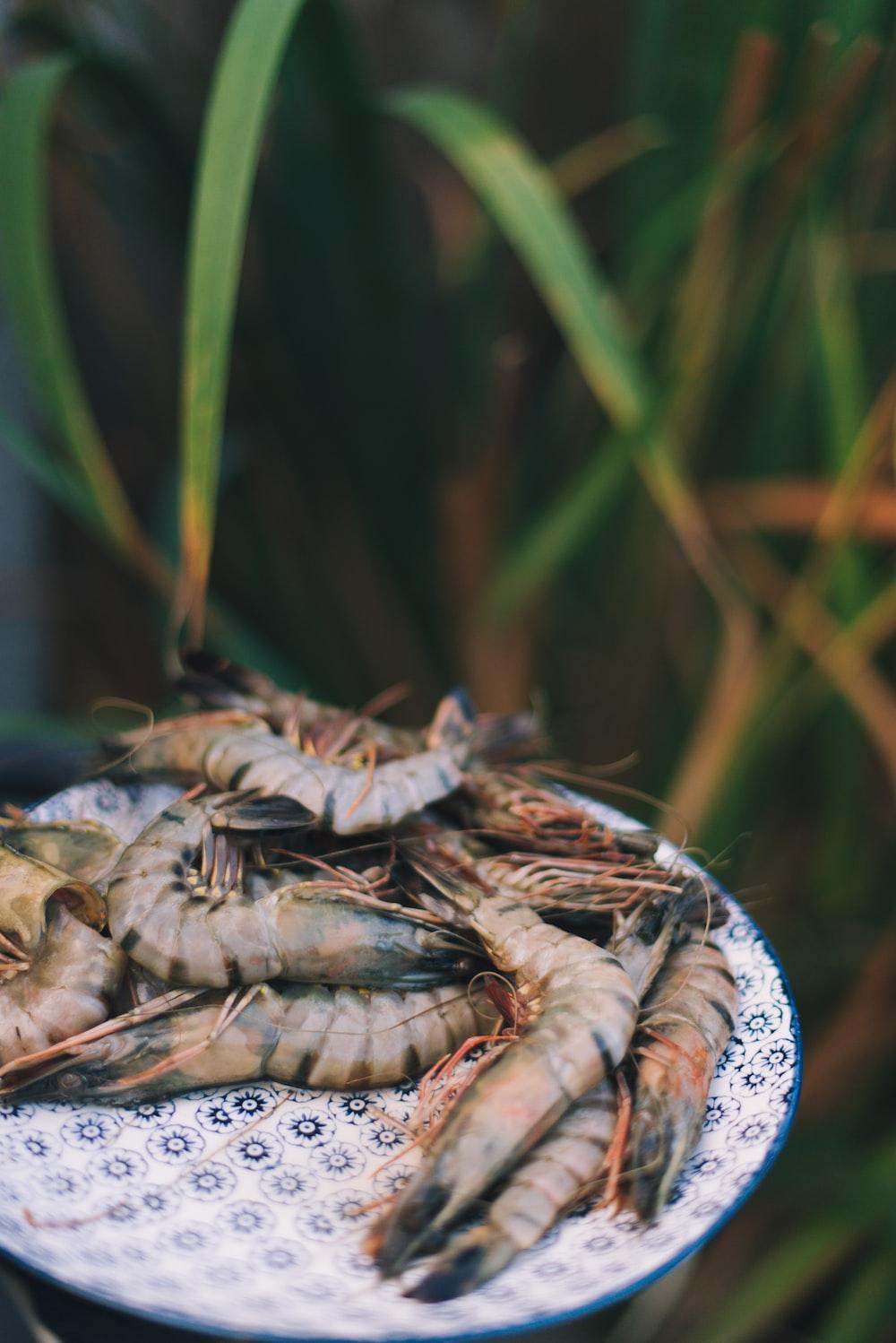 1000x1498 Prawns Picture. Download Free Image