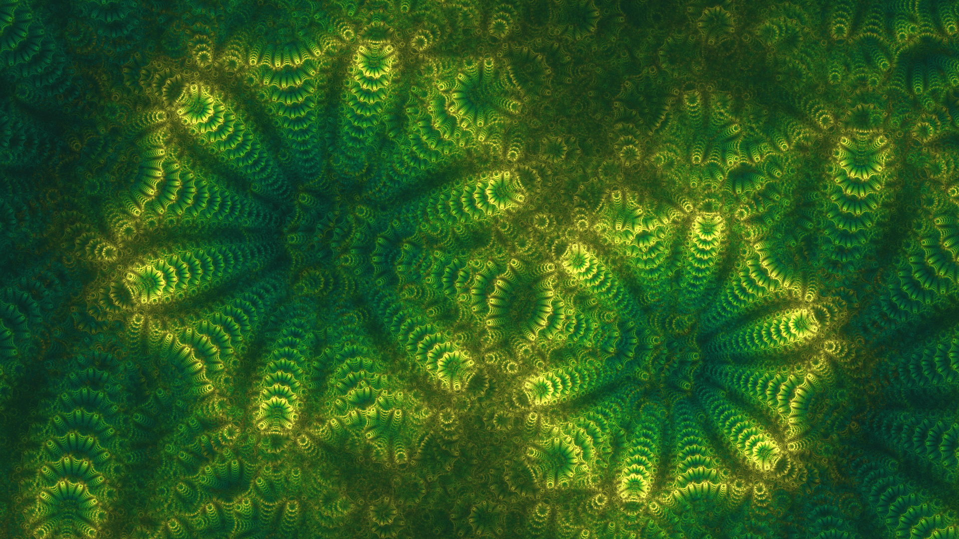 1920x1080 Algae HD Wallpaper and Background