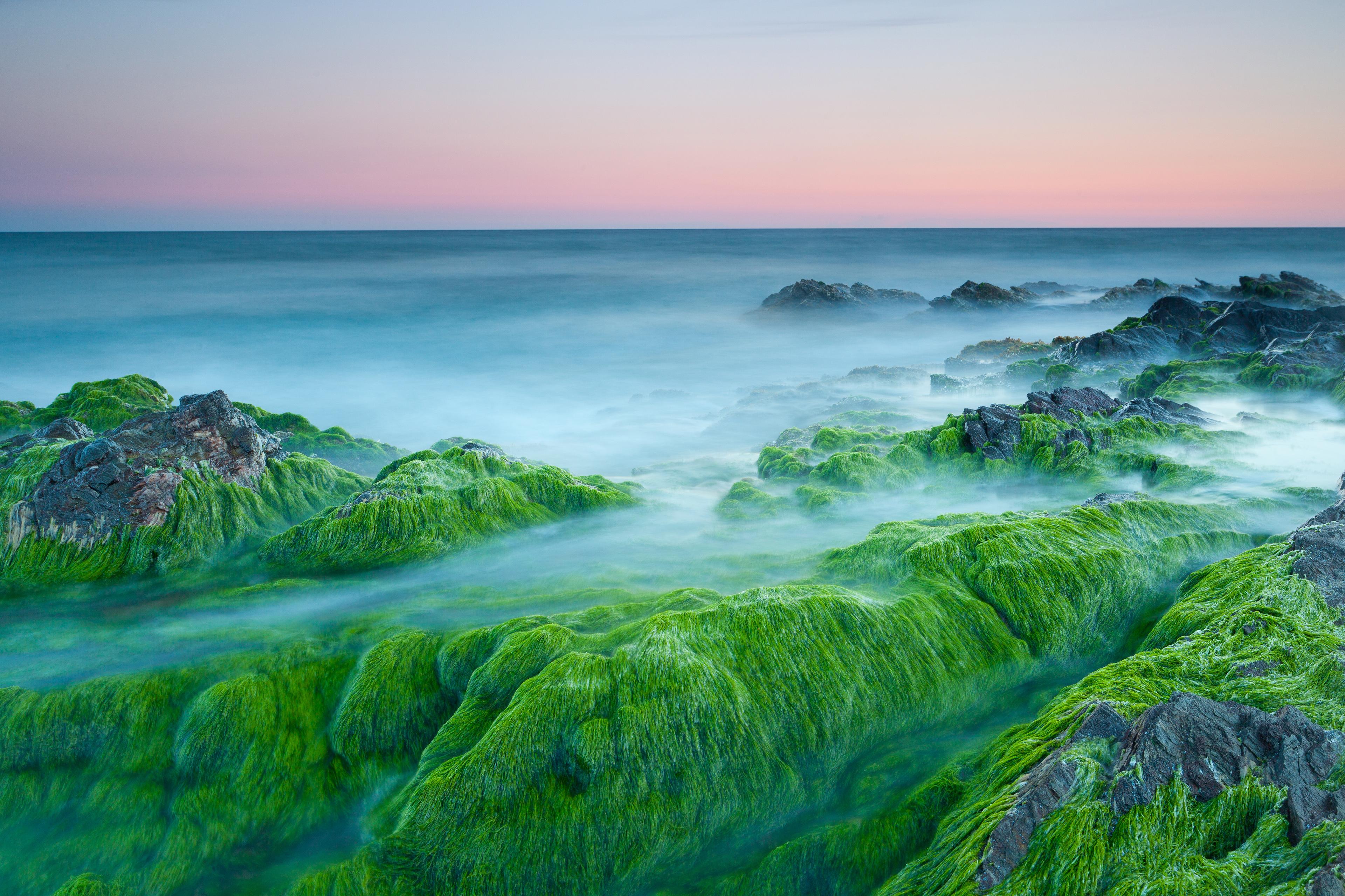 3840x2560 Sunset, Sea, 4K, Algae, Stones