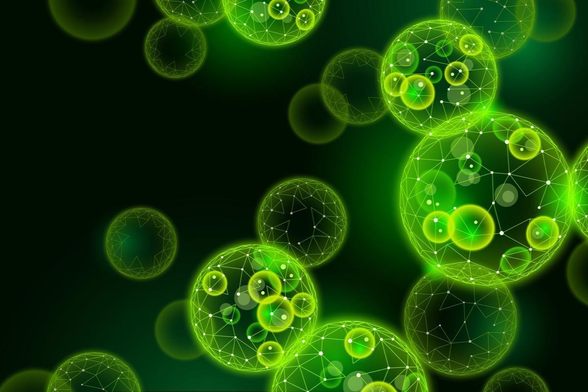 1200x800 Algae Found To Inhibit SARS CoV 2