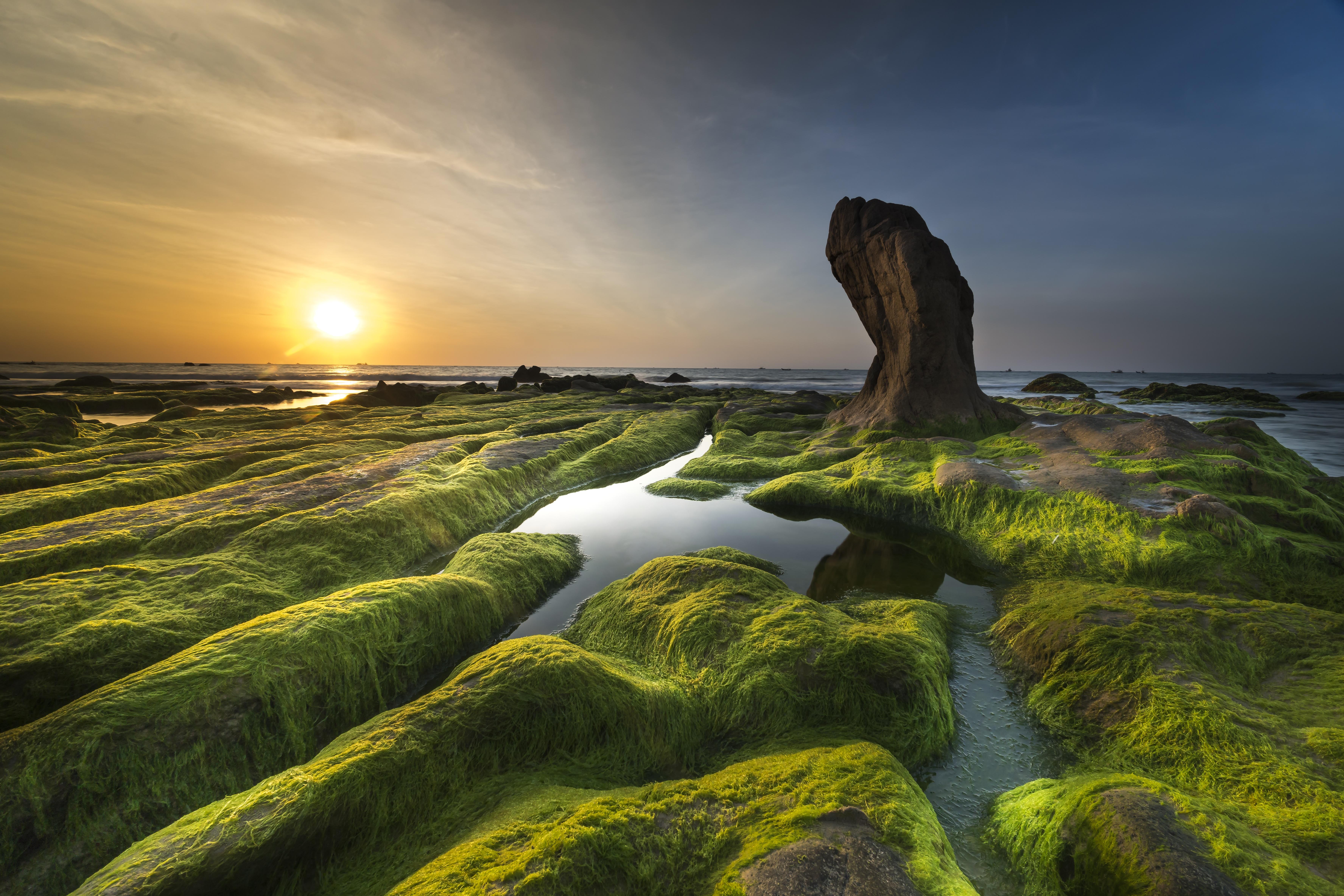 7103x4738 Wallpaper Aphanizomenon Flos Aquae