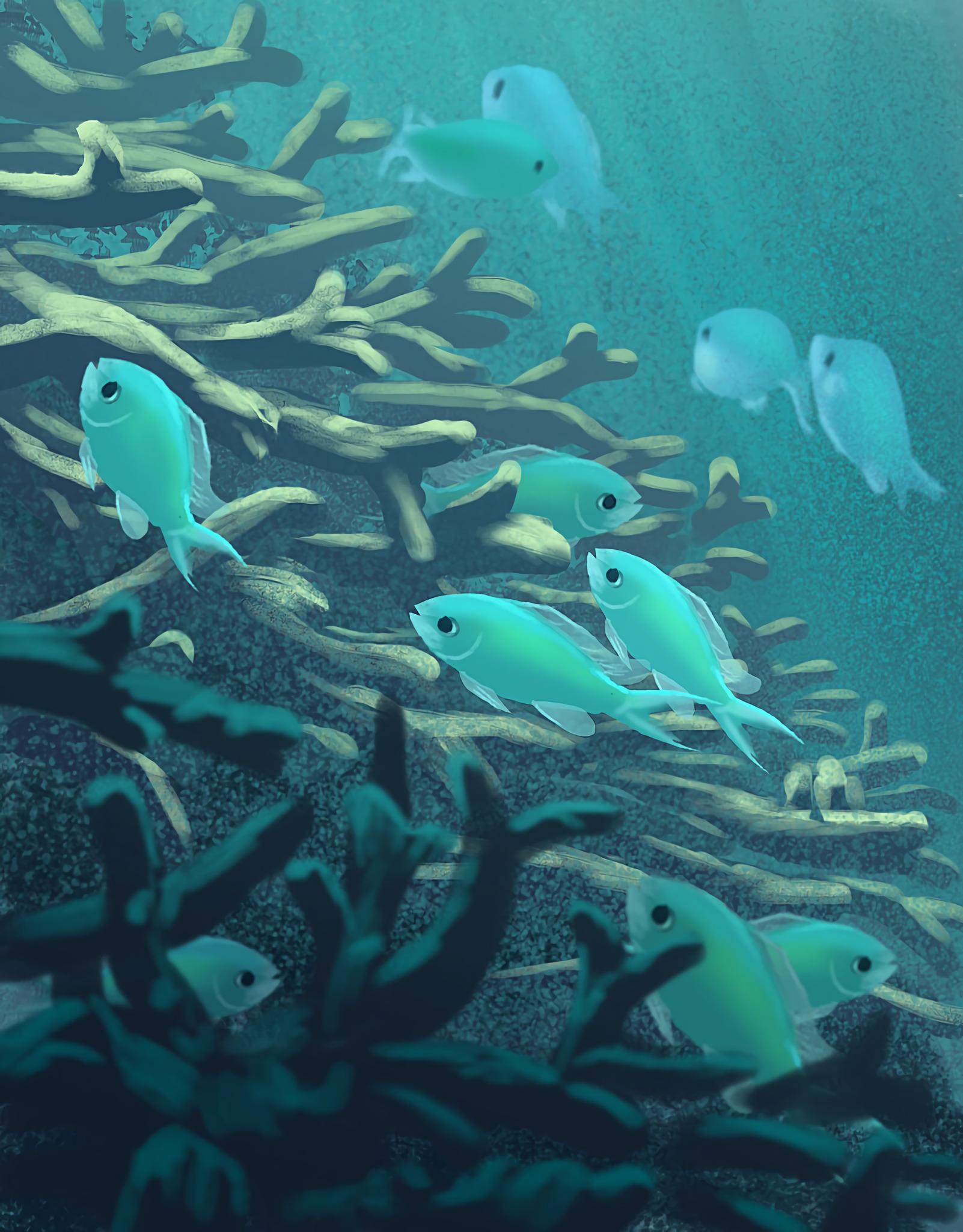1602x2048 Underwater, Algae, Seaweed, Art, Under
