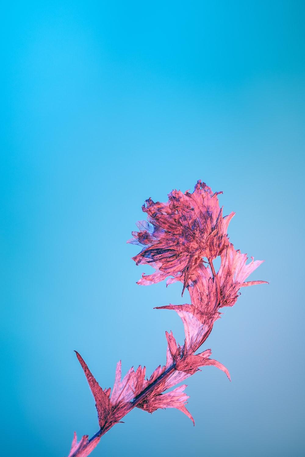 1000x1500 Watermark Picture. Download