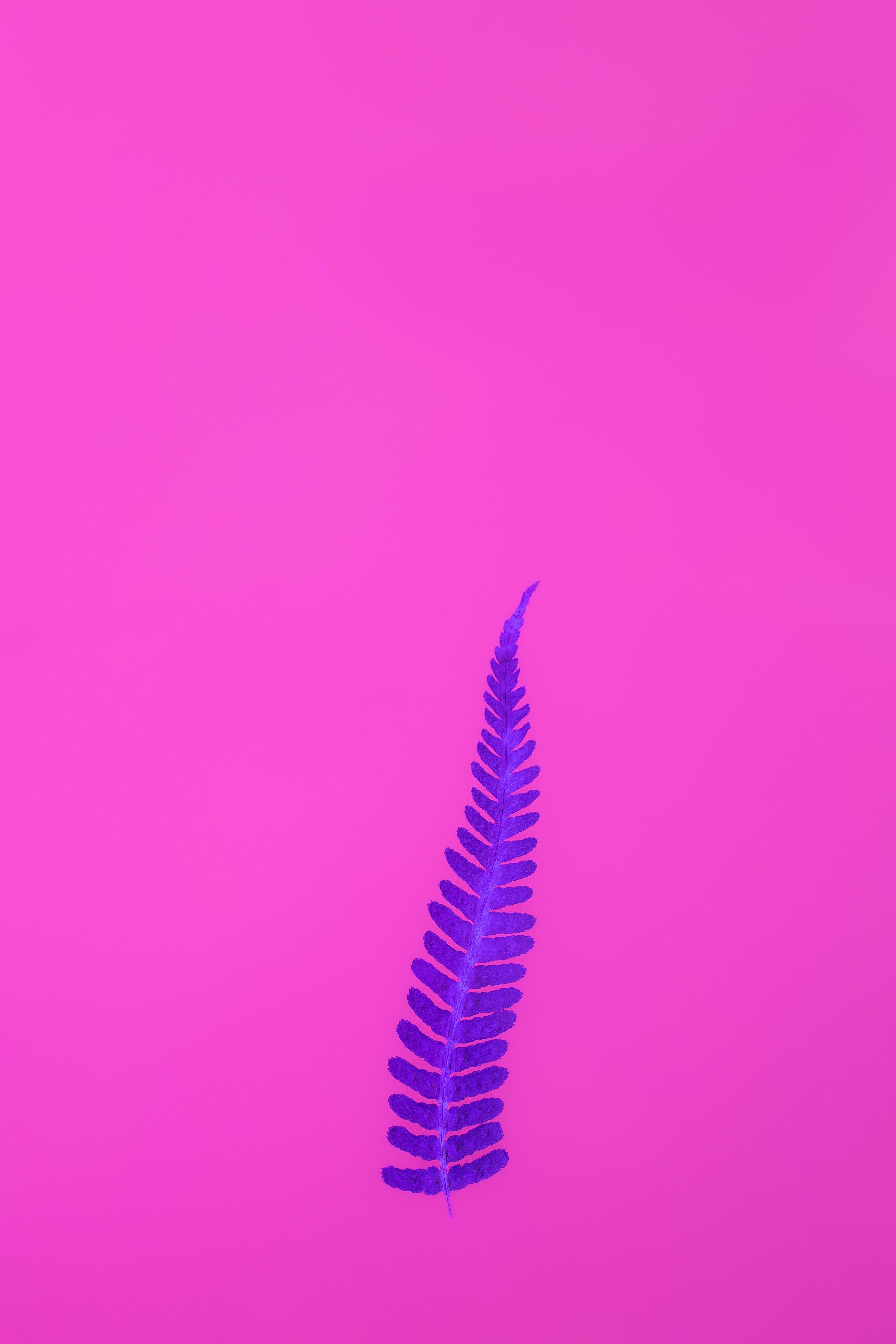 3410x5115 Watermark Photo, Download The BEST