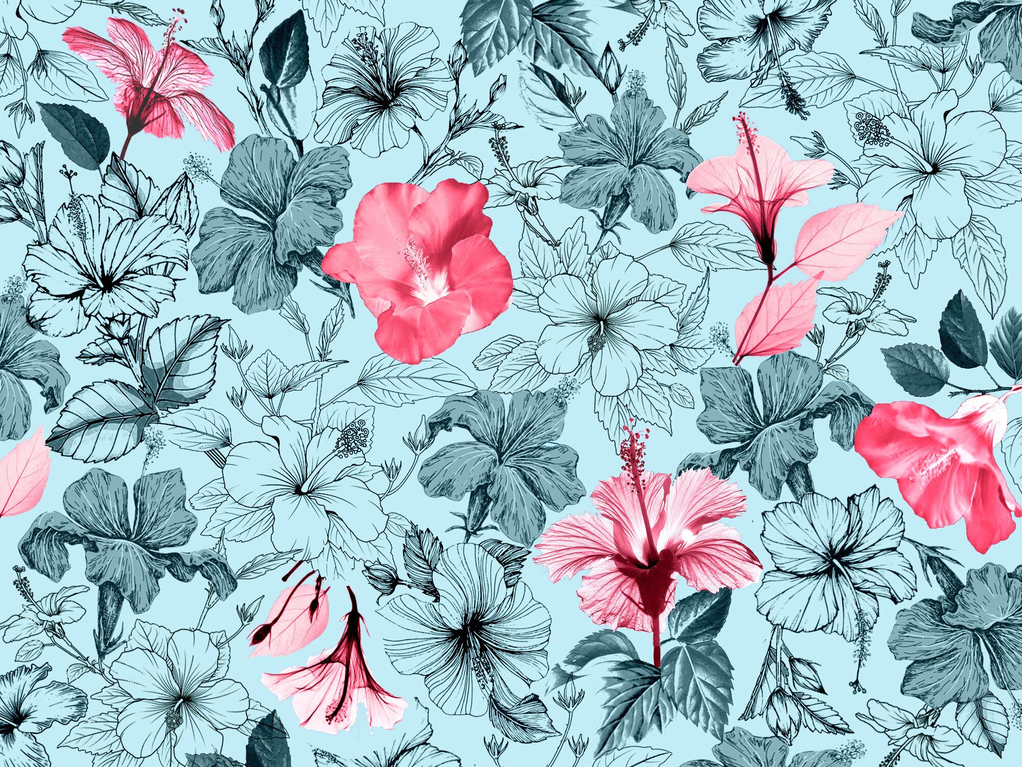 2000x1500 HIBISCUS DIGITAL WALLPAPER