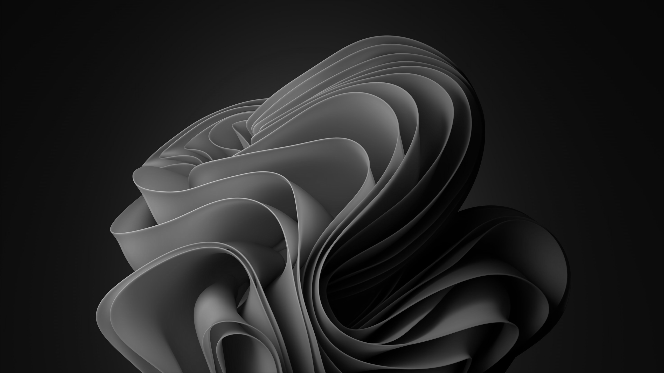 2560x1440 Black Windows 11 Wallpaper