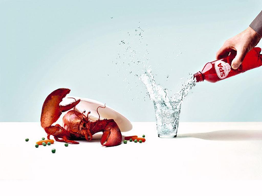 1024x768 Desktop wallpaper, Water fear, funny picture gallery