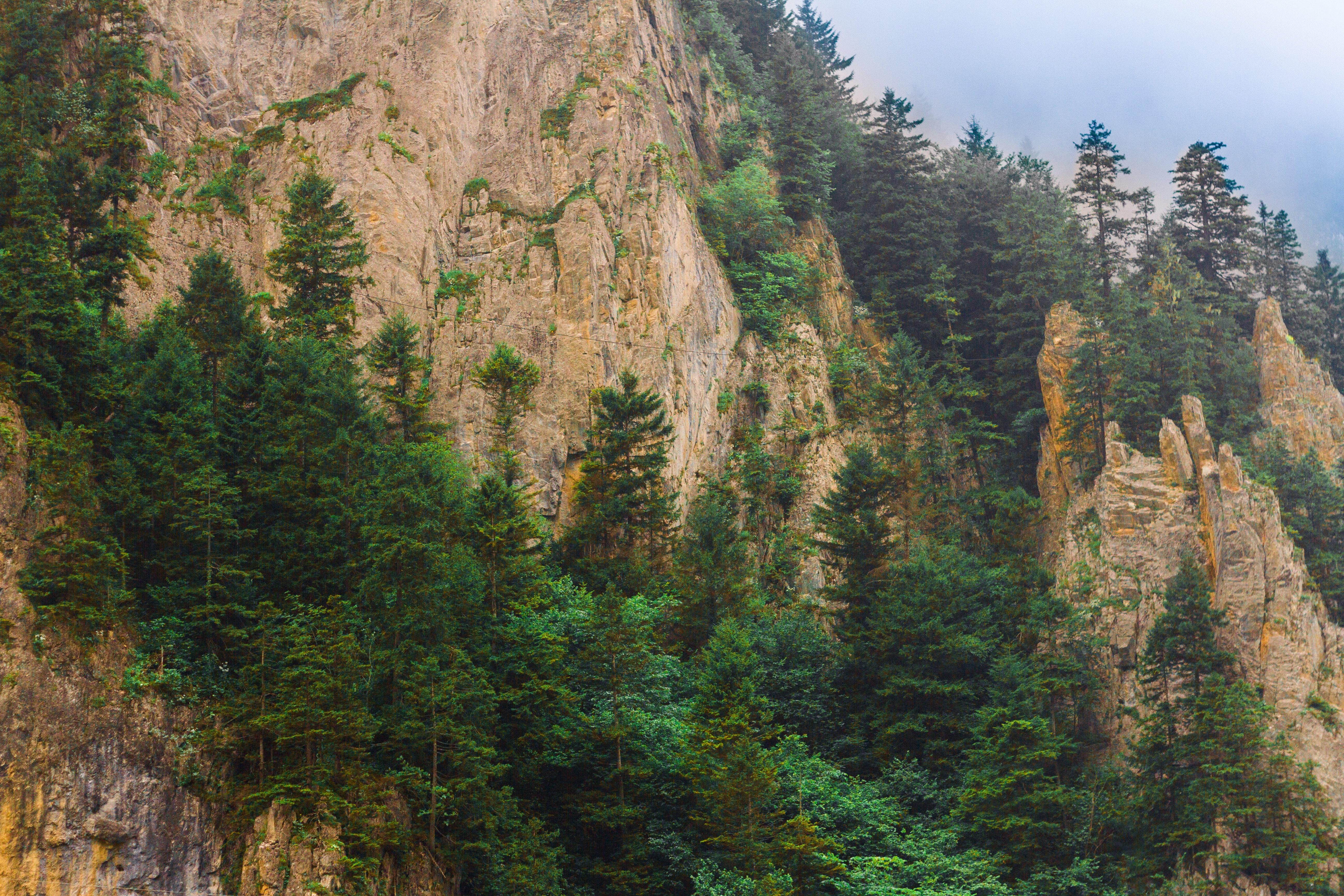 5184x3456 Karadeniz & HD Image