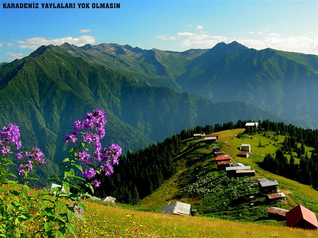 1024x768 Karadeniz Yayla