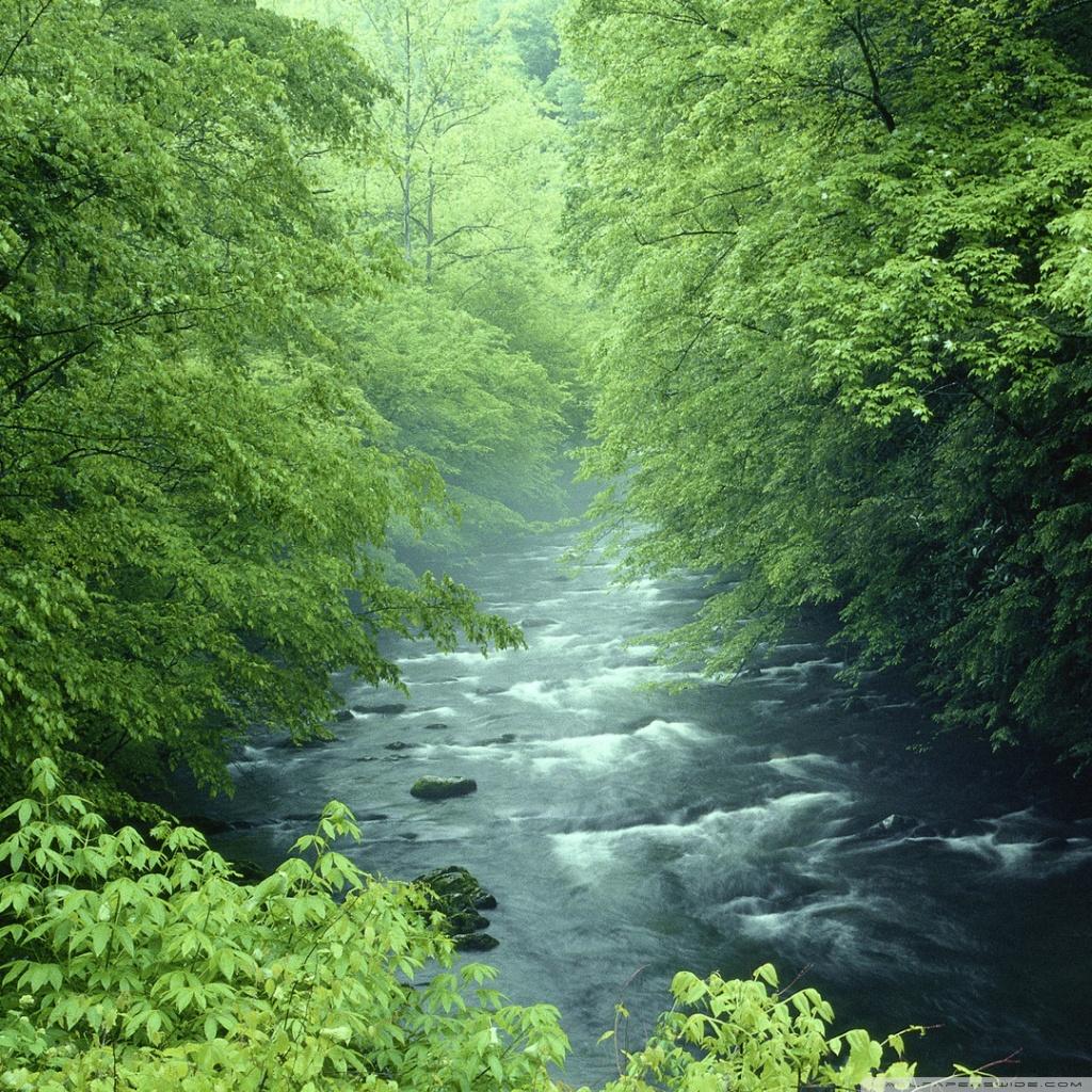 1024x1024 Ultra HD Desktop Background Wallpaper