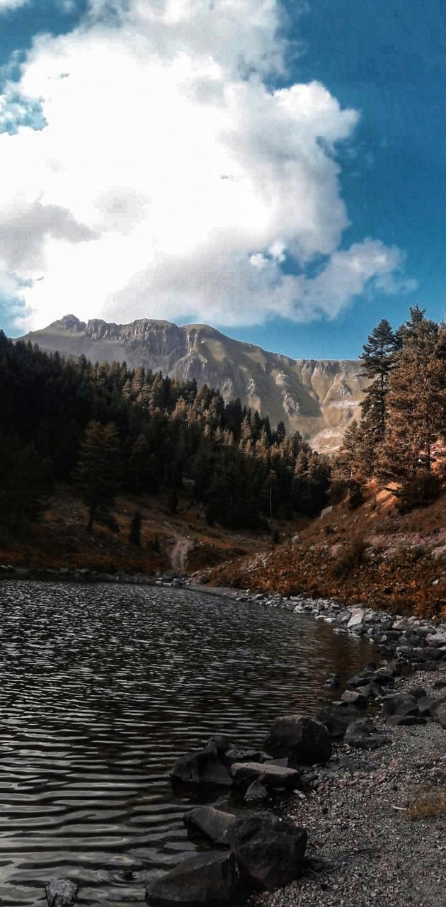 630x1280 Nature wallpaper