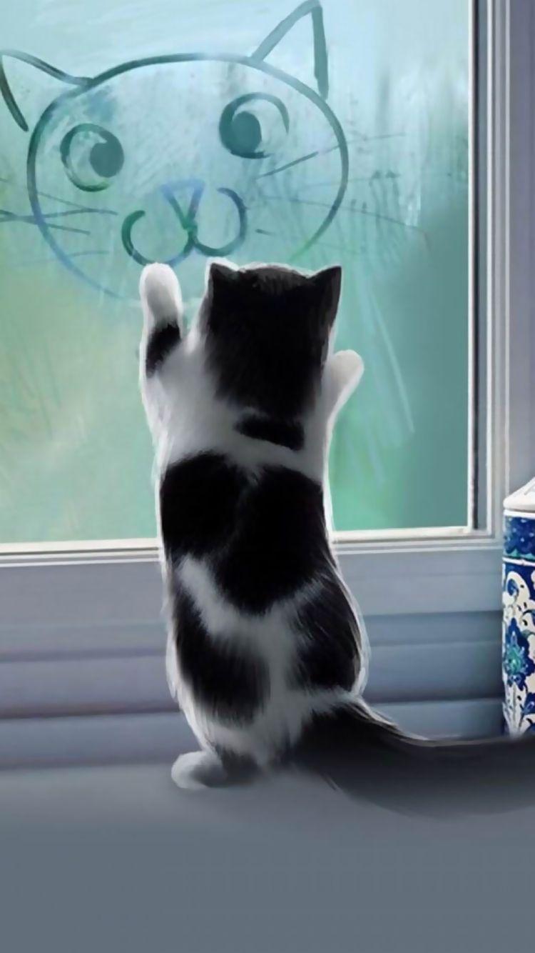 750x1334 Cute Cat iPhone Wallpaper HD