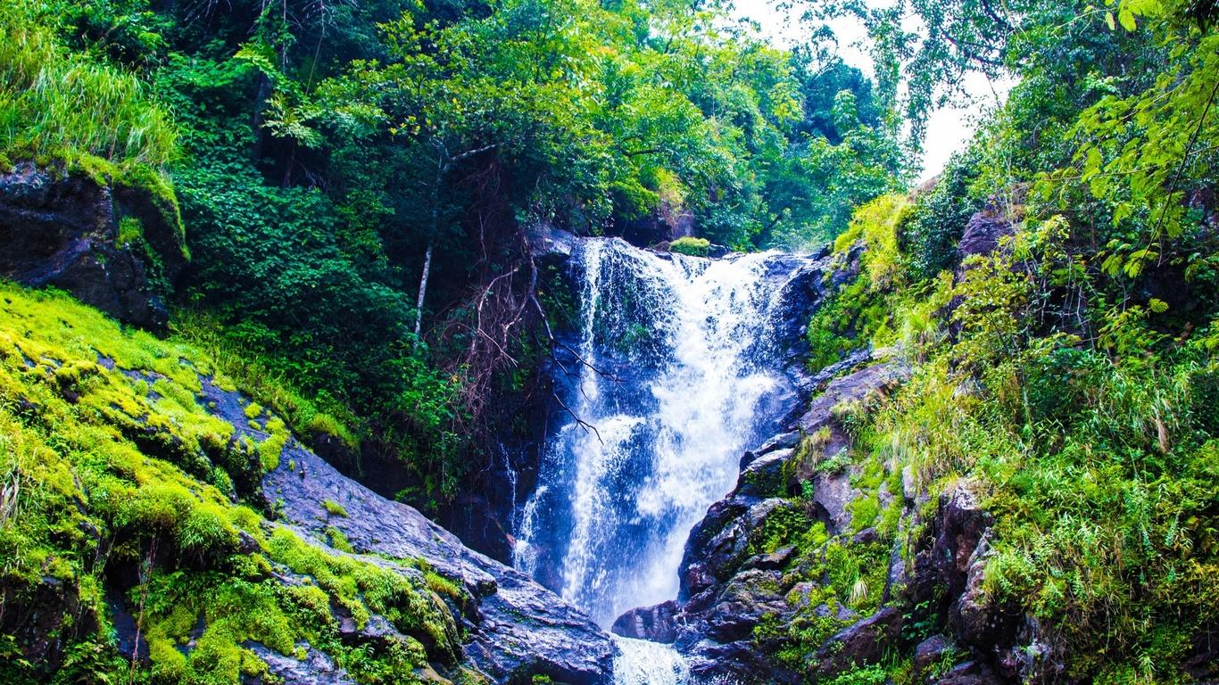 Coorg Wallpapers Top Free Coorg Backgrounds WallpaperAccess