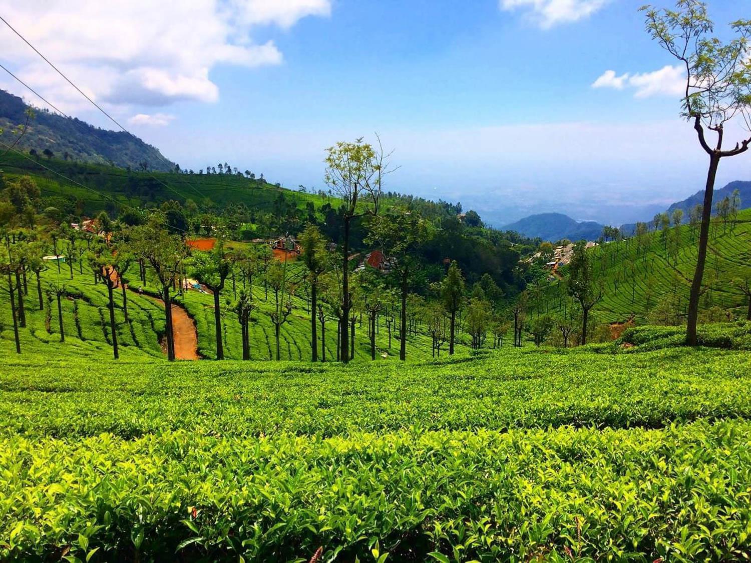 1500x1125 Ayatana Coorg