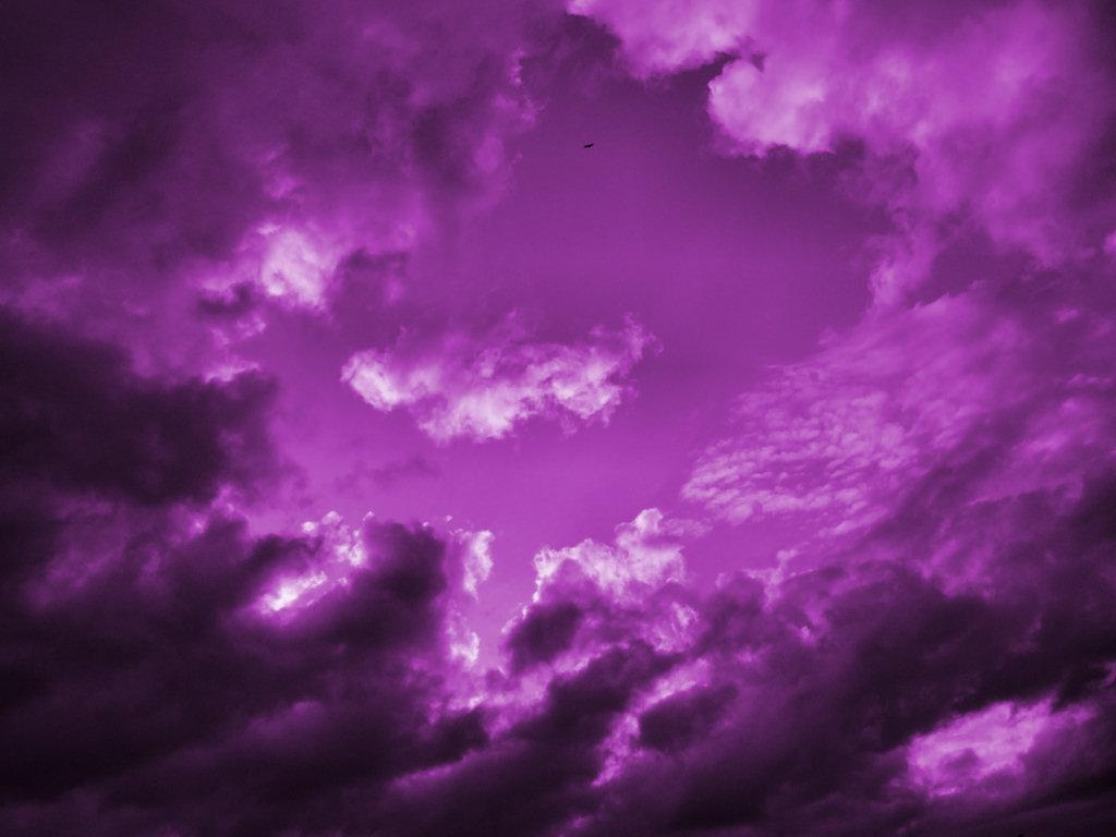 1024x768 Purple Background, Purple Background