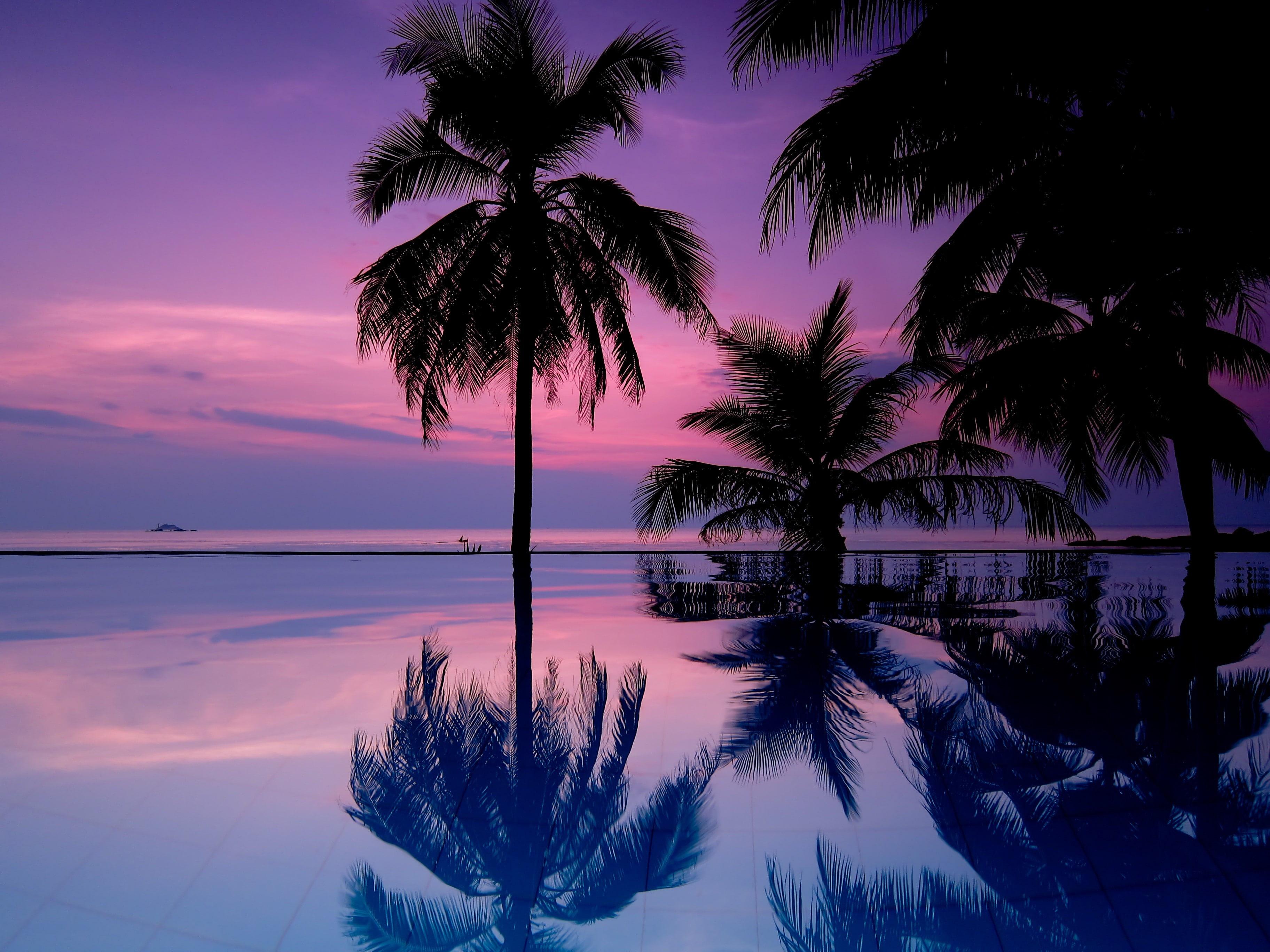 3648x2736 Sea, Water, Tropical Climate Wallpaper