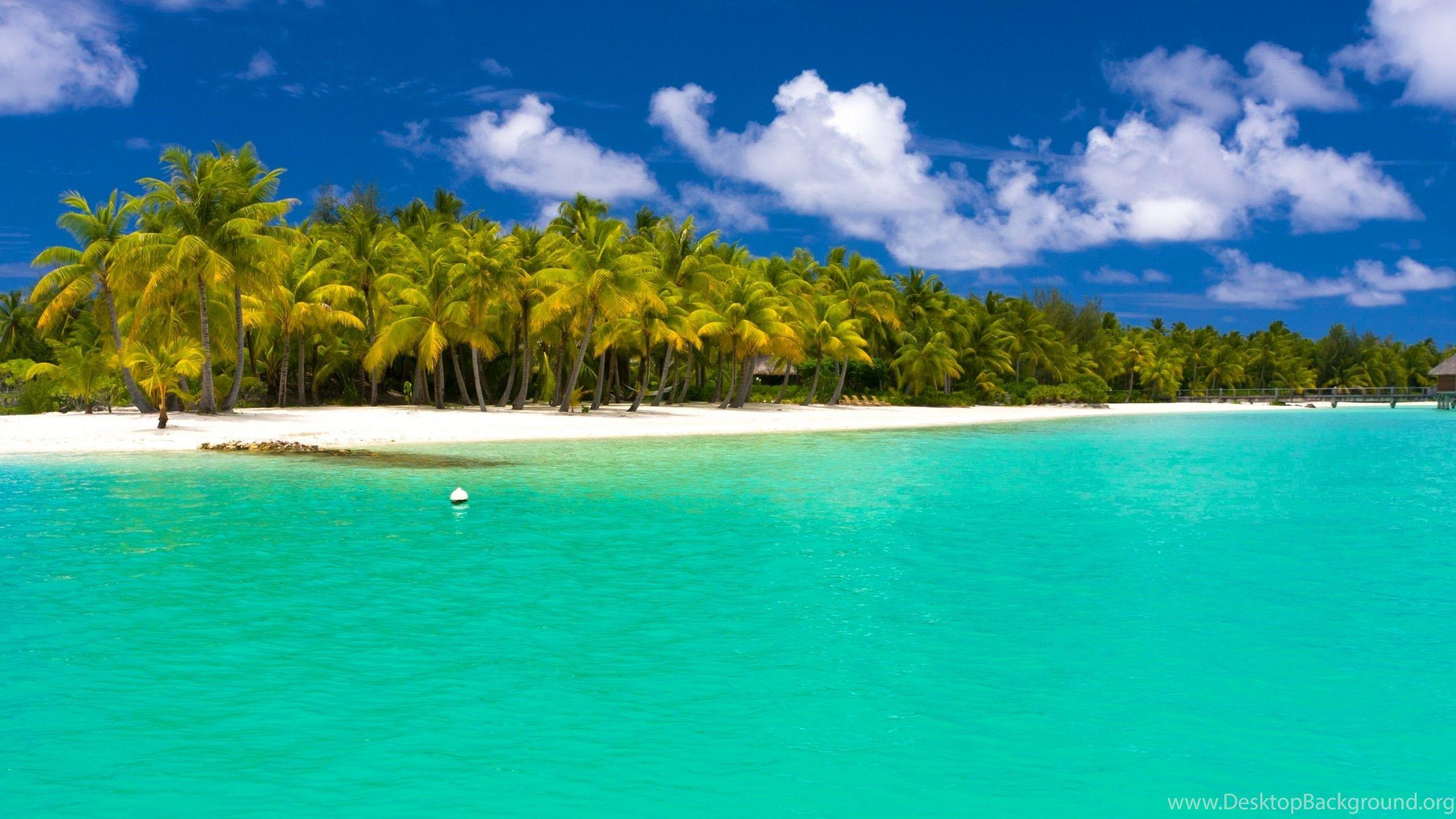 2560X1440 Summer Wallpapers - Top Free 2560X1440 Summer Backgrounds ...