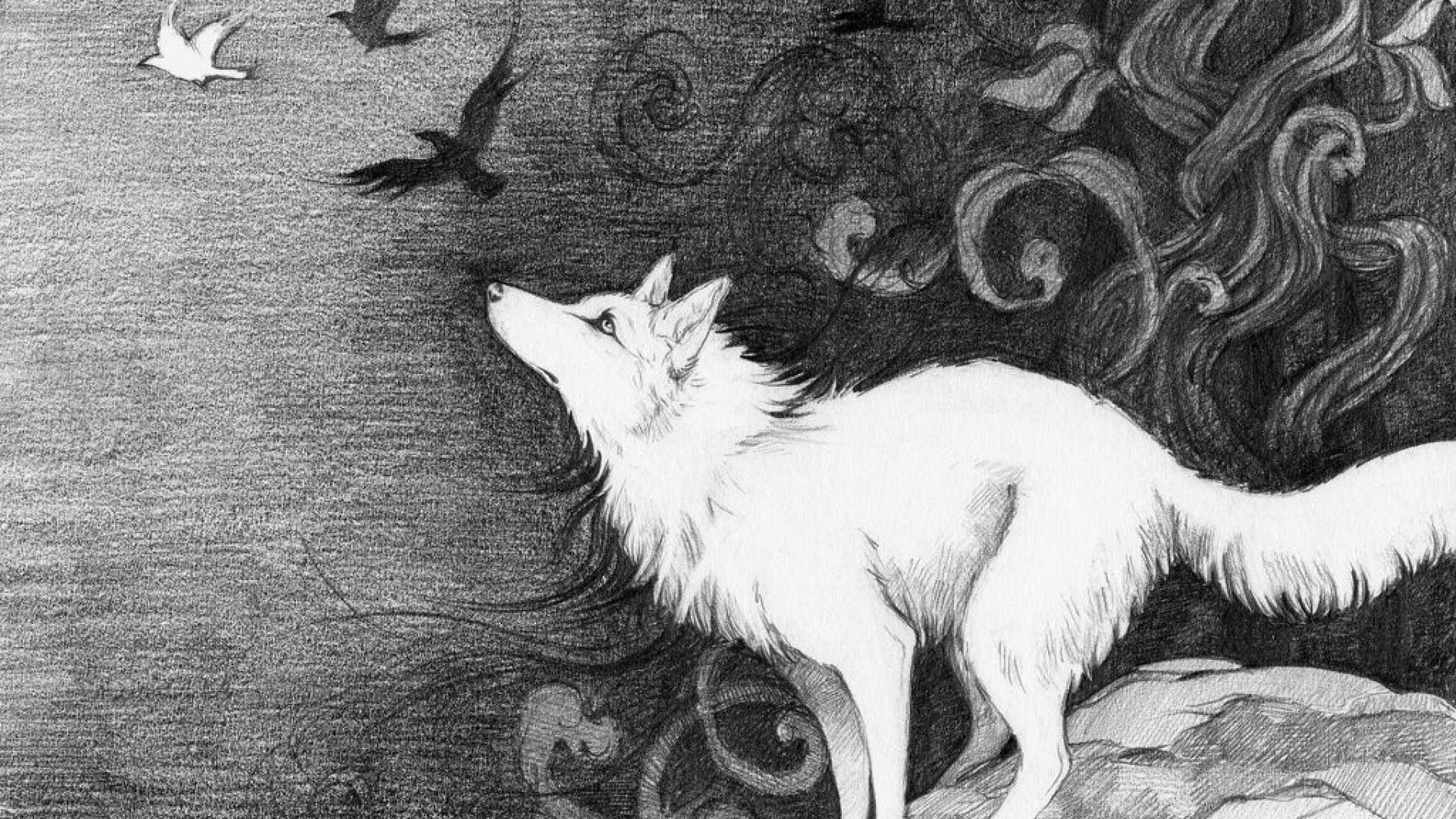 1920x1080 Động vật chim theo hình nền con sói trắng trong mơ của bạn