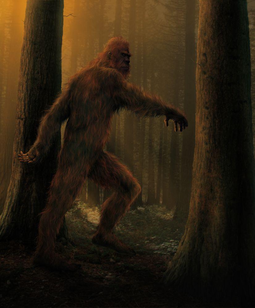 825x995 Bigfoot Wall Mural Your Way