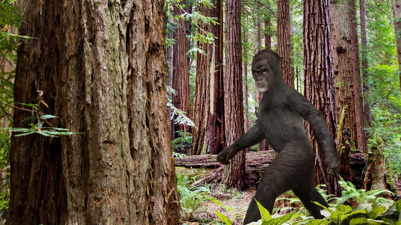 1600x900 Yes, Bigfoot Erotica Is Absolutely a