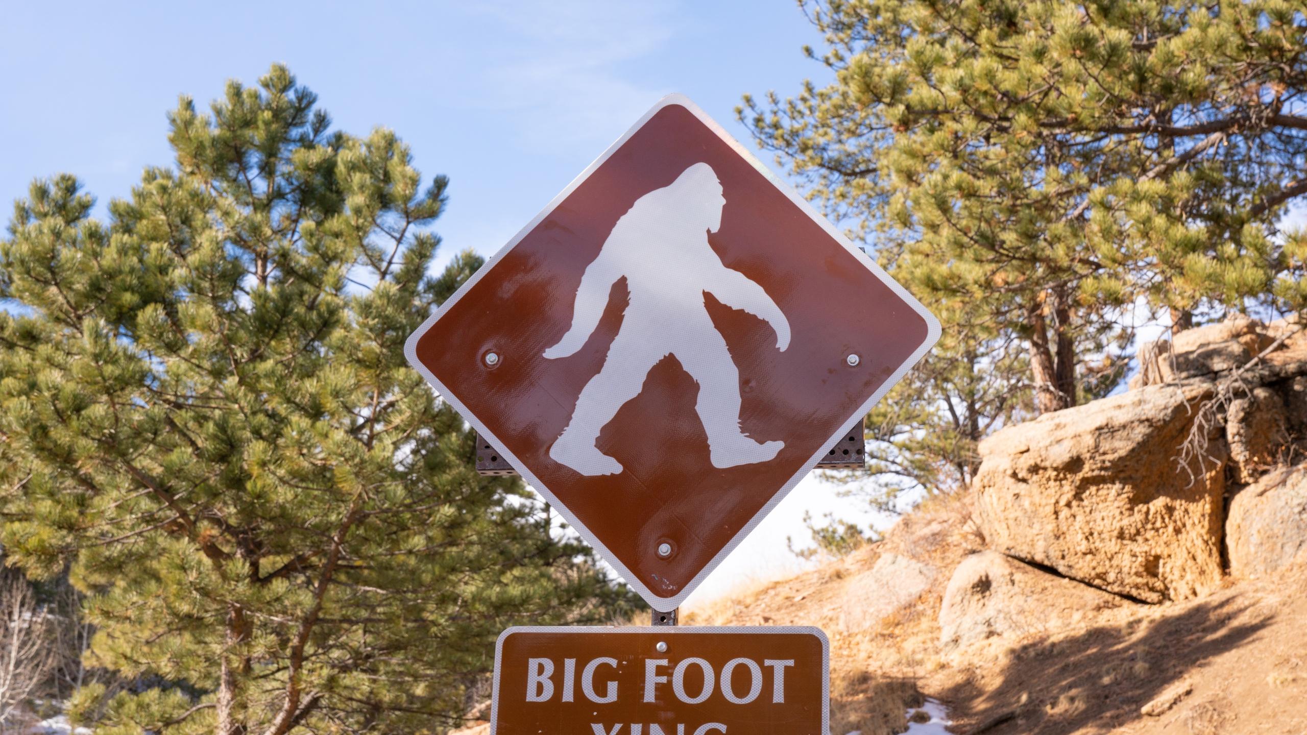 2560x1440 Bigfoot in North Carolina? There have