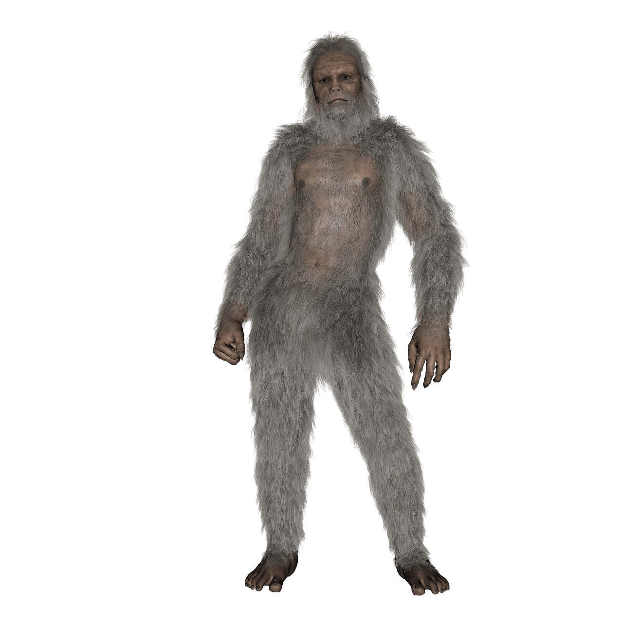 1280x1280 Free Sasquatch & Bigfoot Image