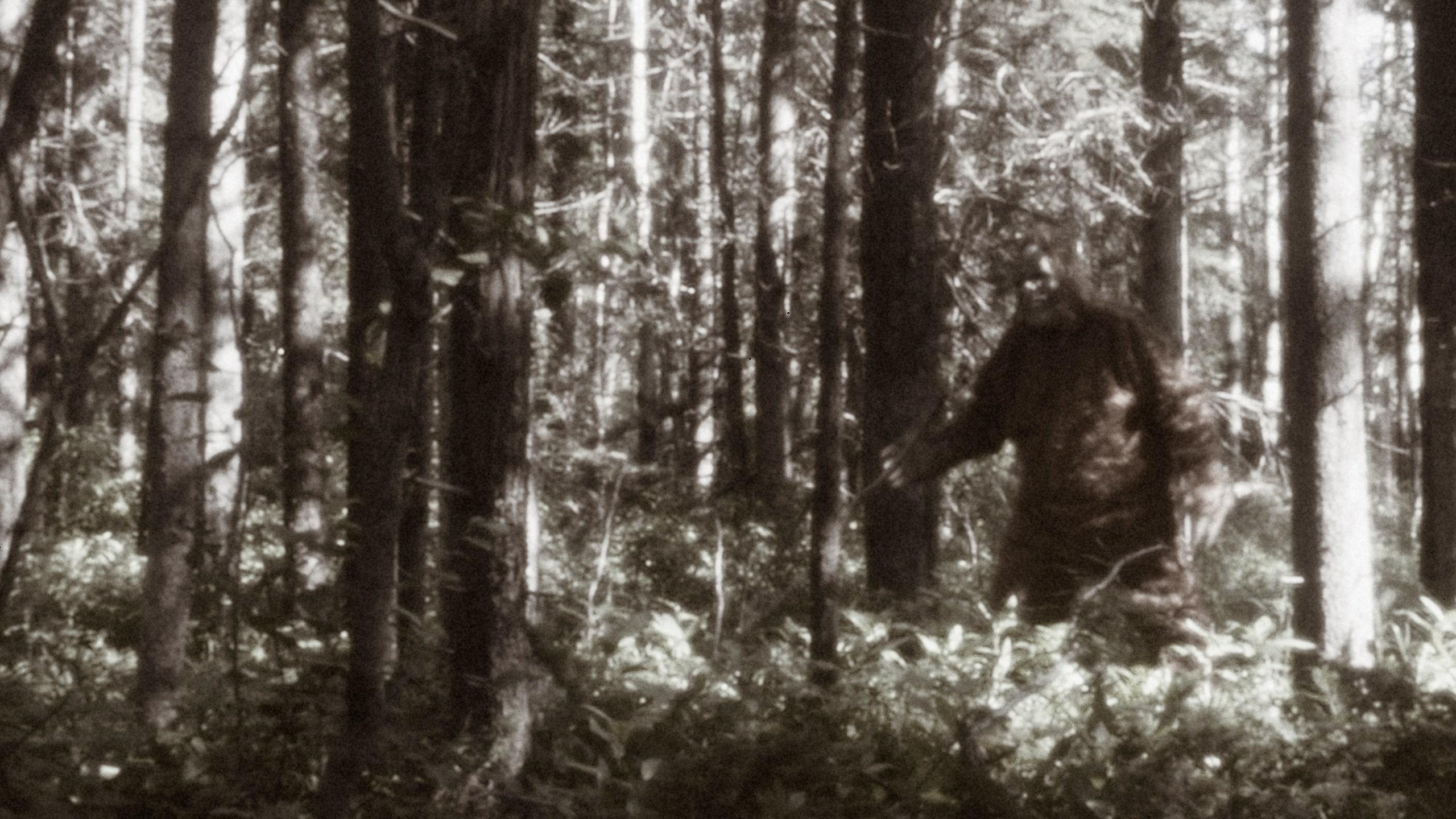 2560x1440 Virginia Political Candidate Says