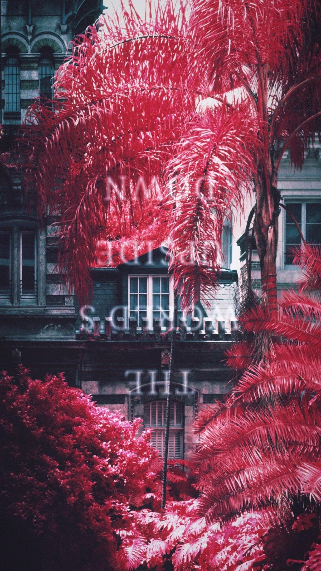 1080x1920 album, Exits