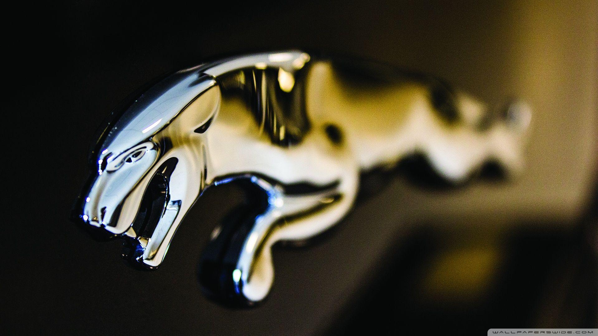 1920x1080 Jaguar Logo Close Up ❤ 4K HD Desktop Wallpaper For 4K Ultra HD TV