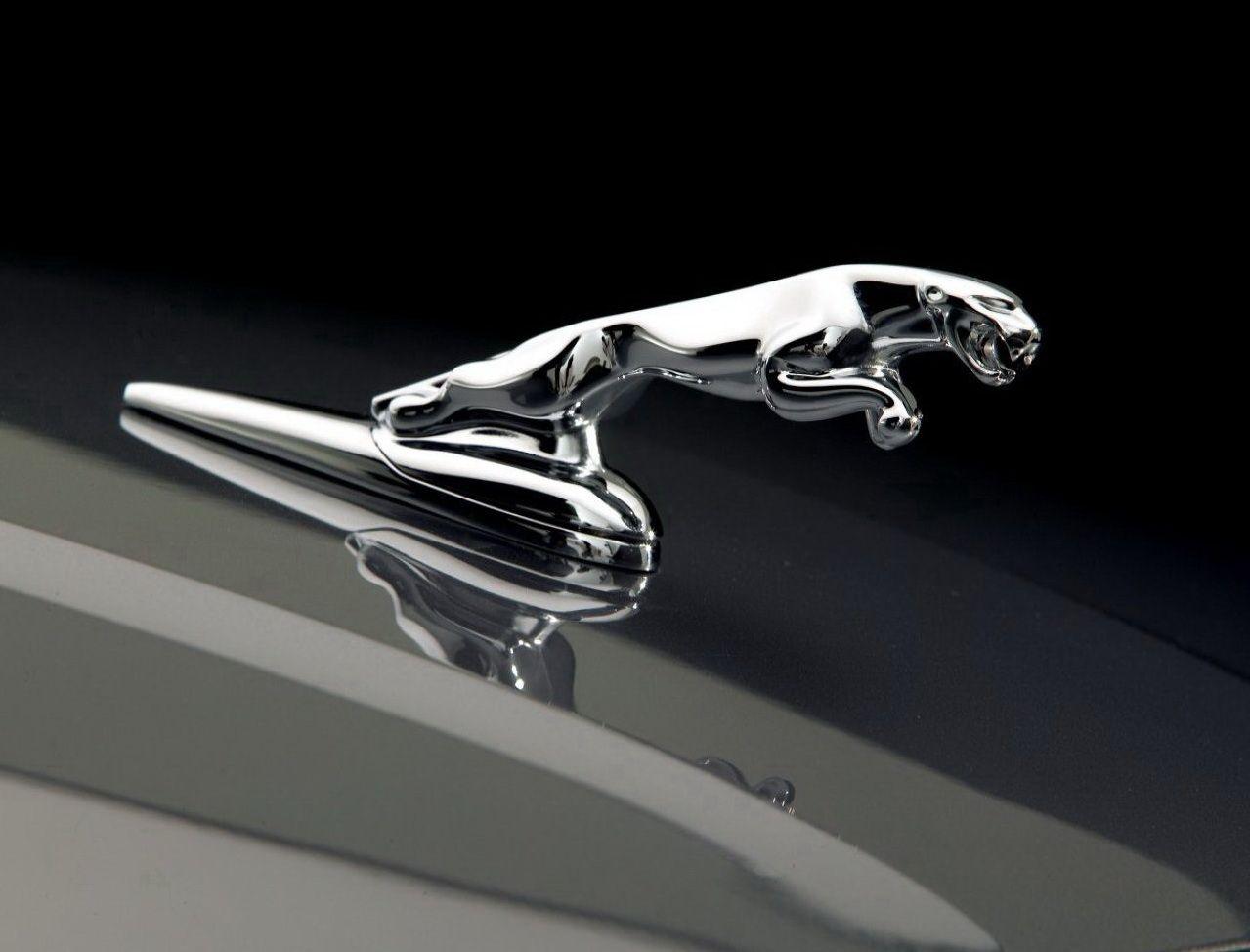 1279x974 Jaguar Logo, Jaguar Car Symbol Meaning and History. Car Brand