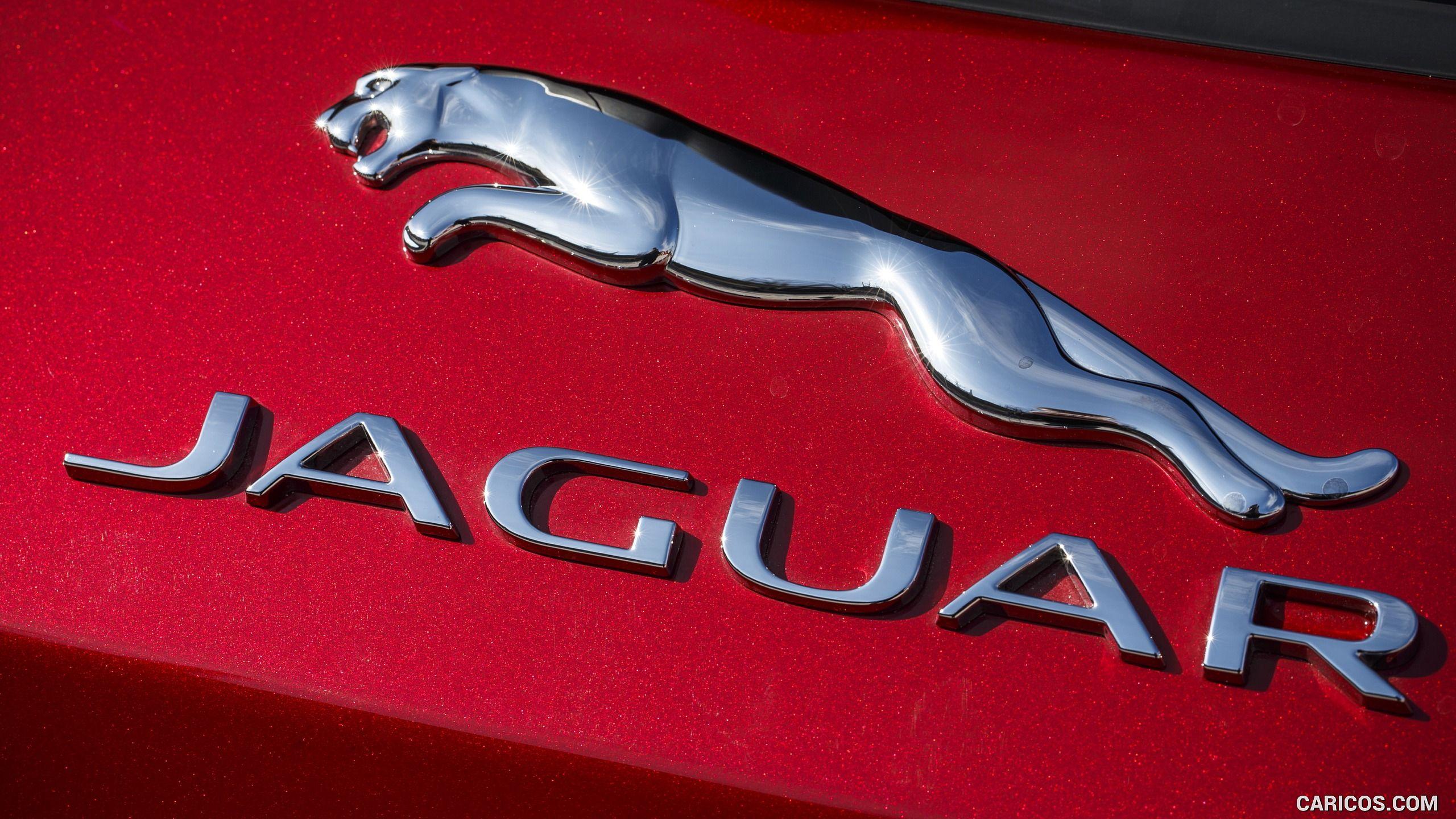 Ideas For Jaguar Car Logo Wallpaper Hd wallpaper