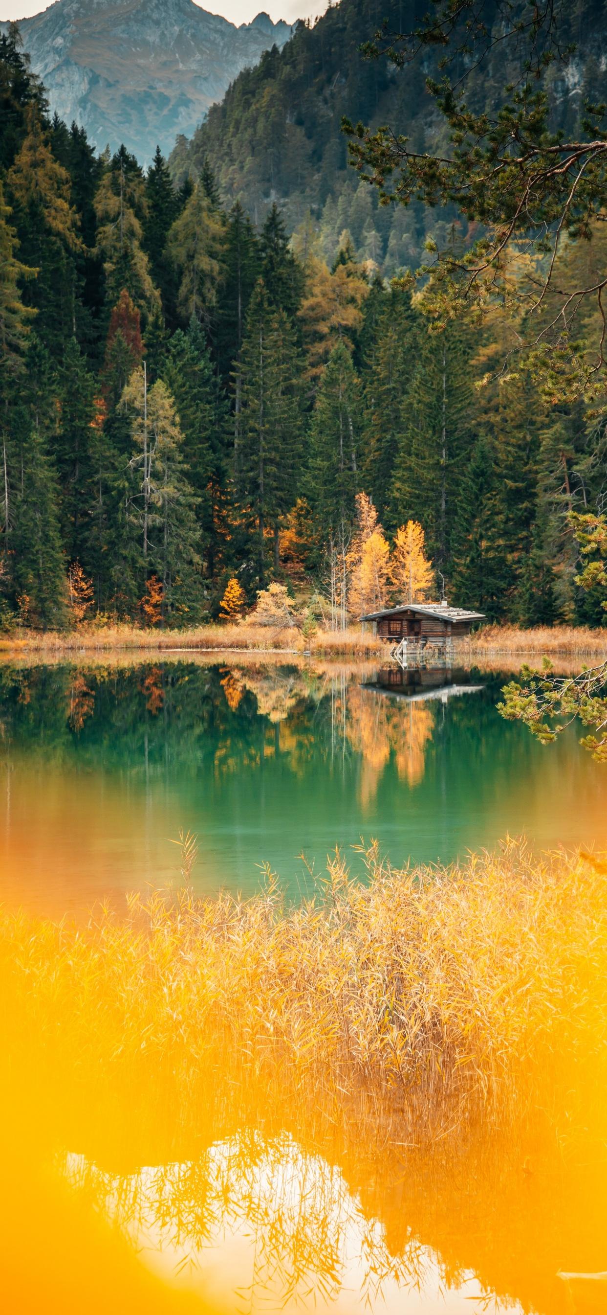 1242x2688 Lake house Wallpaper 4K, Forest, Green