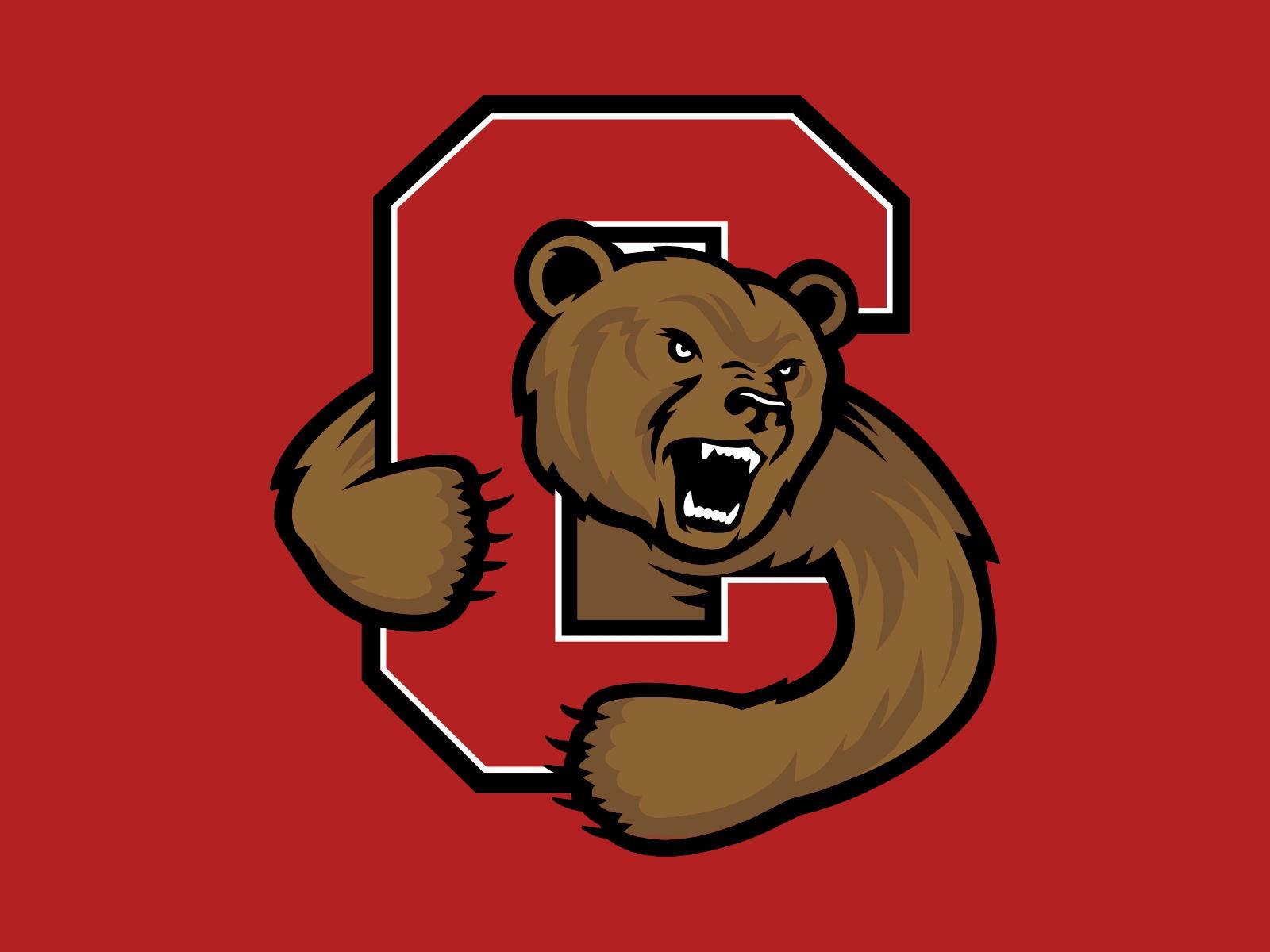 1600x1200 Download Cornell University Bear Mascot