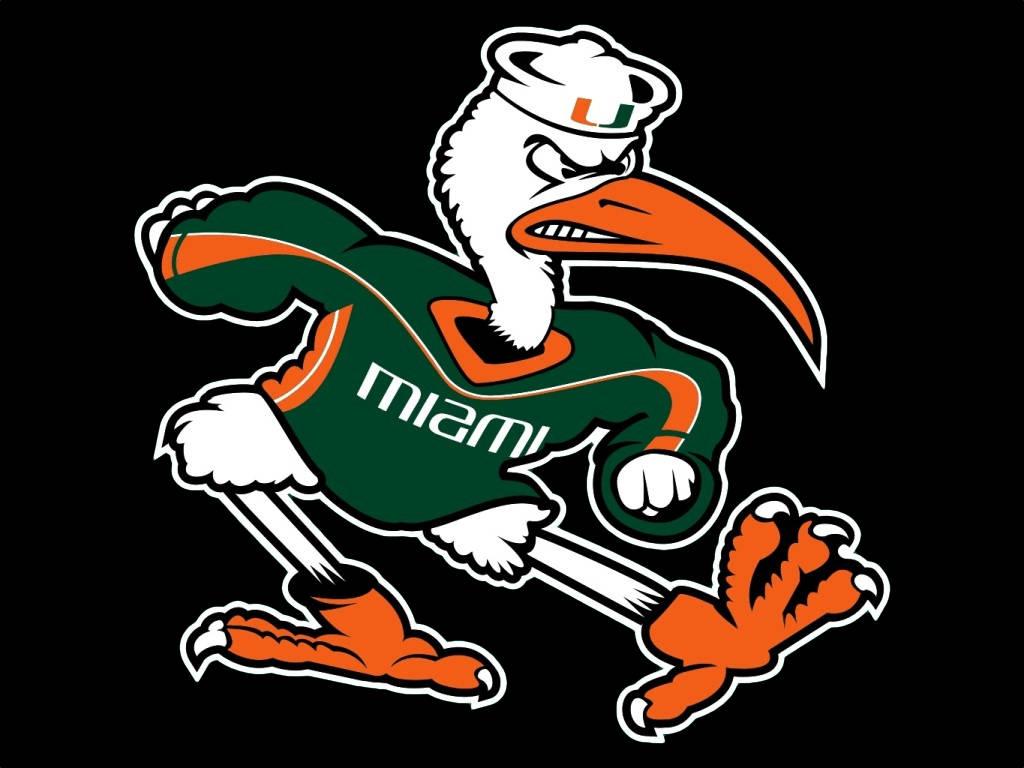 1024x768 Download University Of Miami Green