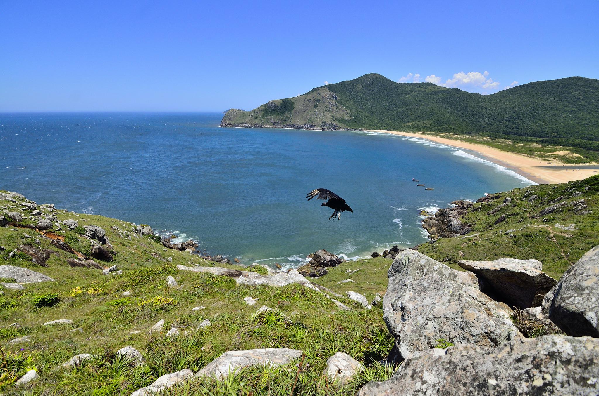 2048x1356 Florianopolis Beach Wallpaper