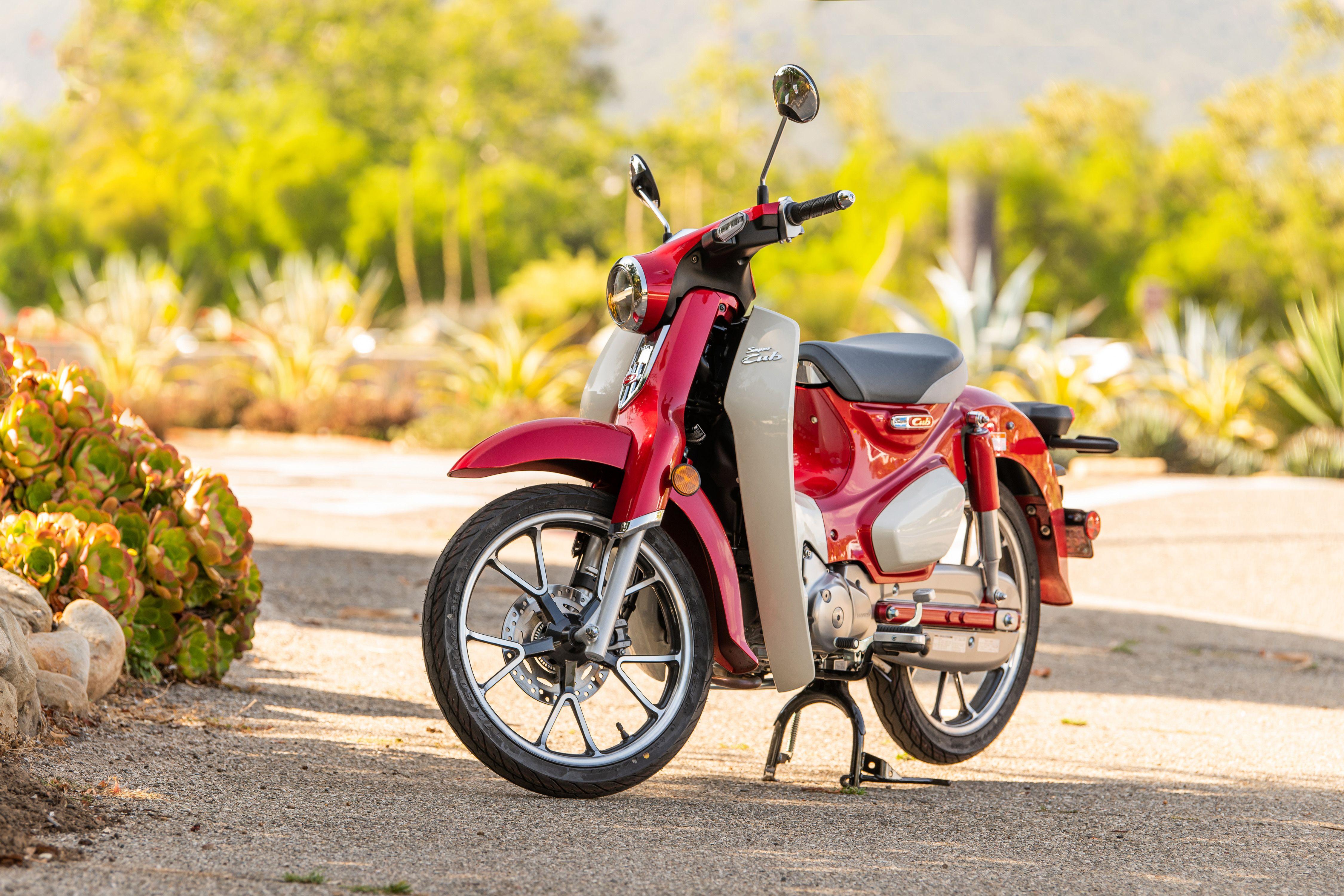 4500x3000 View Photo of the 2020 Honda SuperCub C125