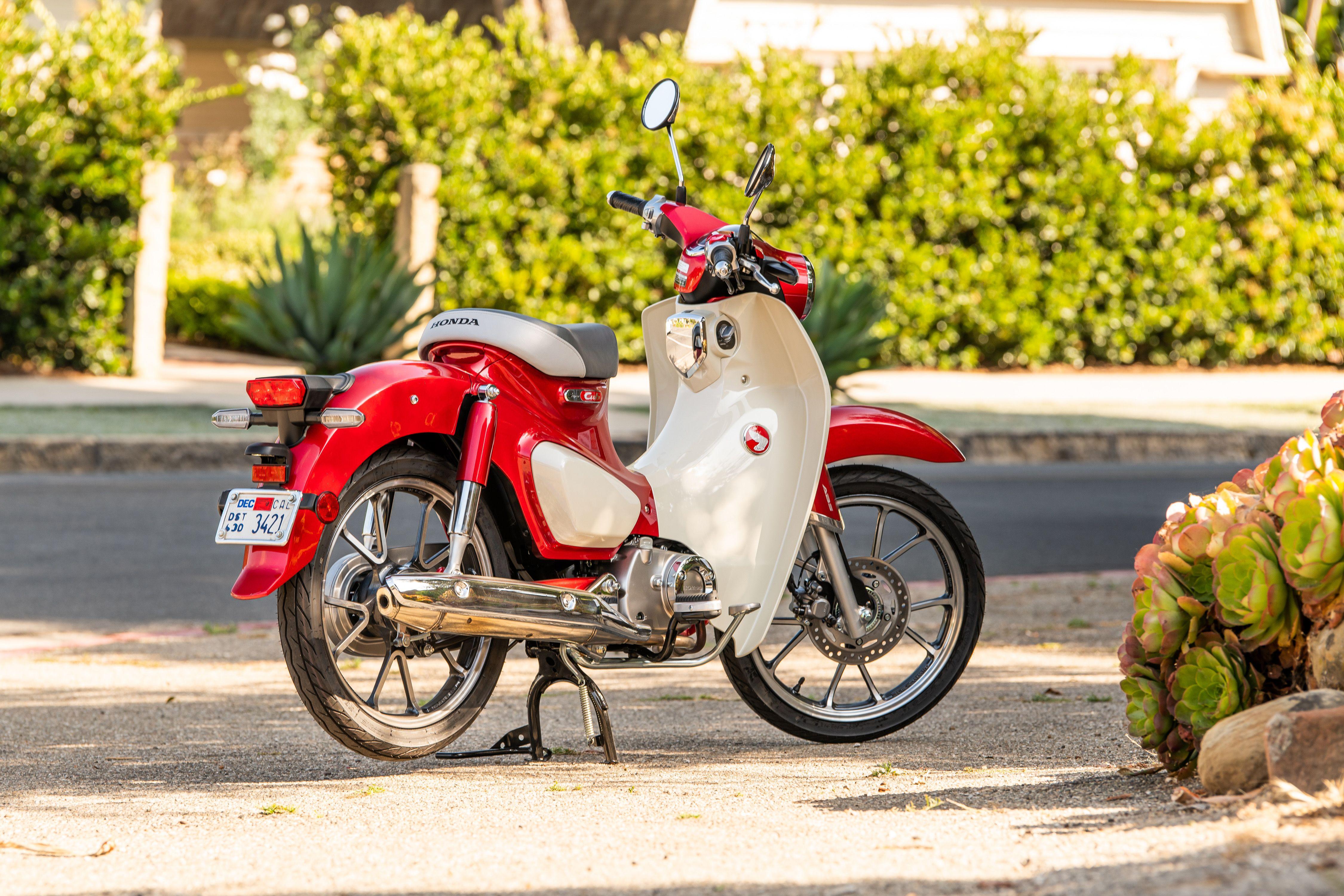 4500x3000 View Photo of the 2020 Honda SuperCub C125