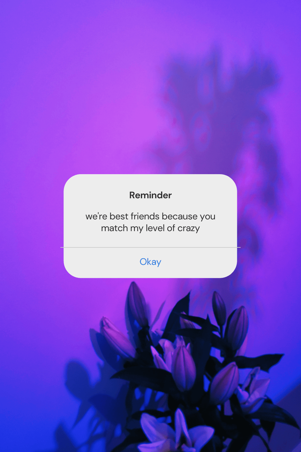 Serene Get On My Level Photo for Your Screen Serene Get On My Level Photo for Your Screen