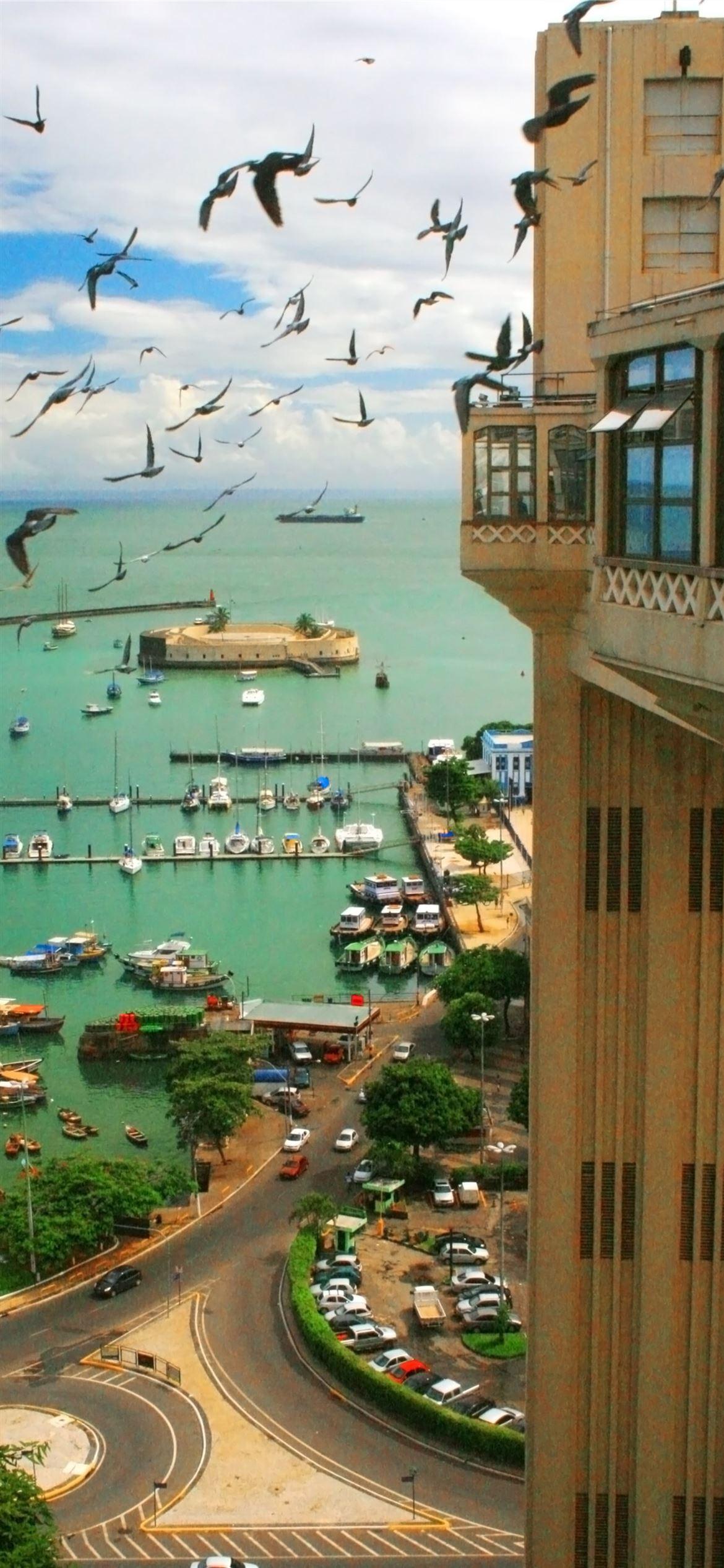 1170x2532 salvador de bahia iPhone Wallpaper