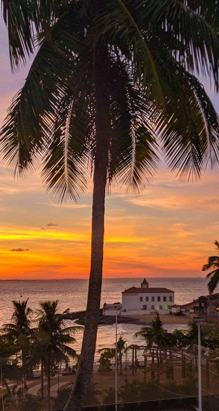 736x1378 Wallpaper Salvador. Cidade salvador